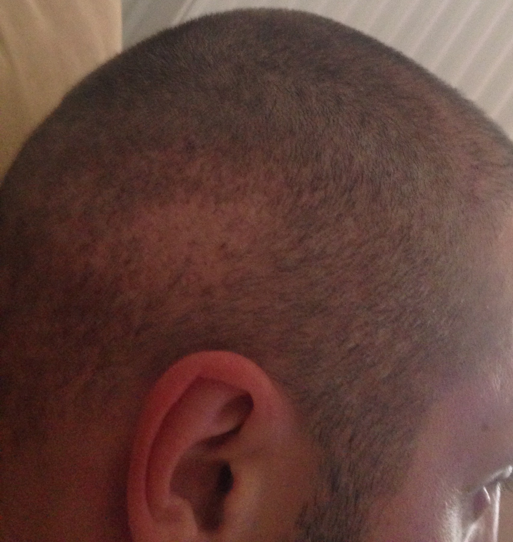 index.php/fa/30189/0/