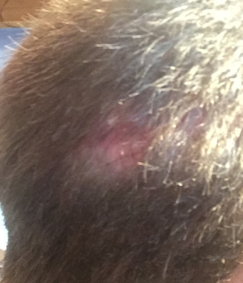 index.php/fa/30192/0/