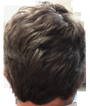 index.php/fa/30669/0/