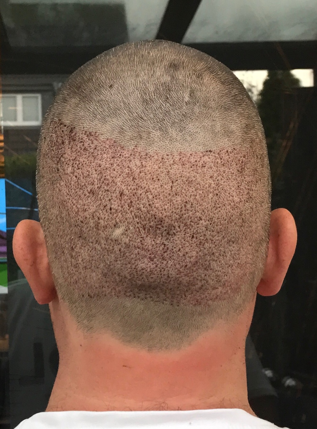 index.php/fa/30822/0/