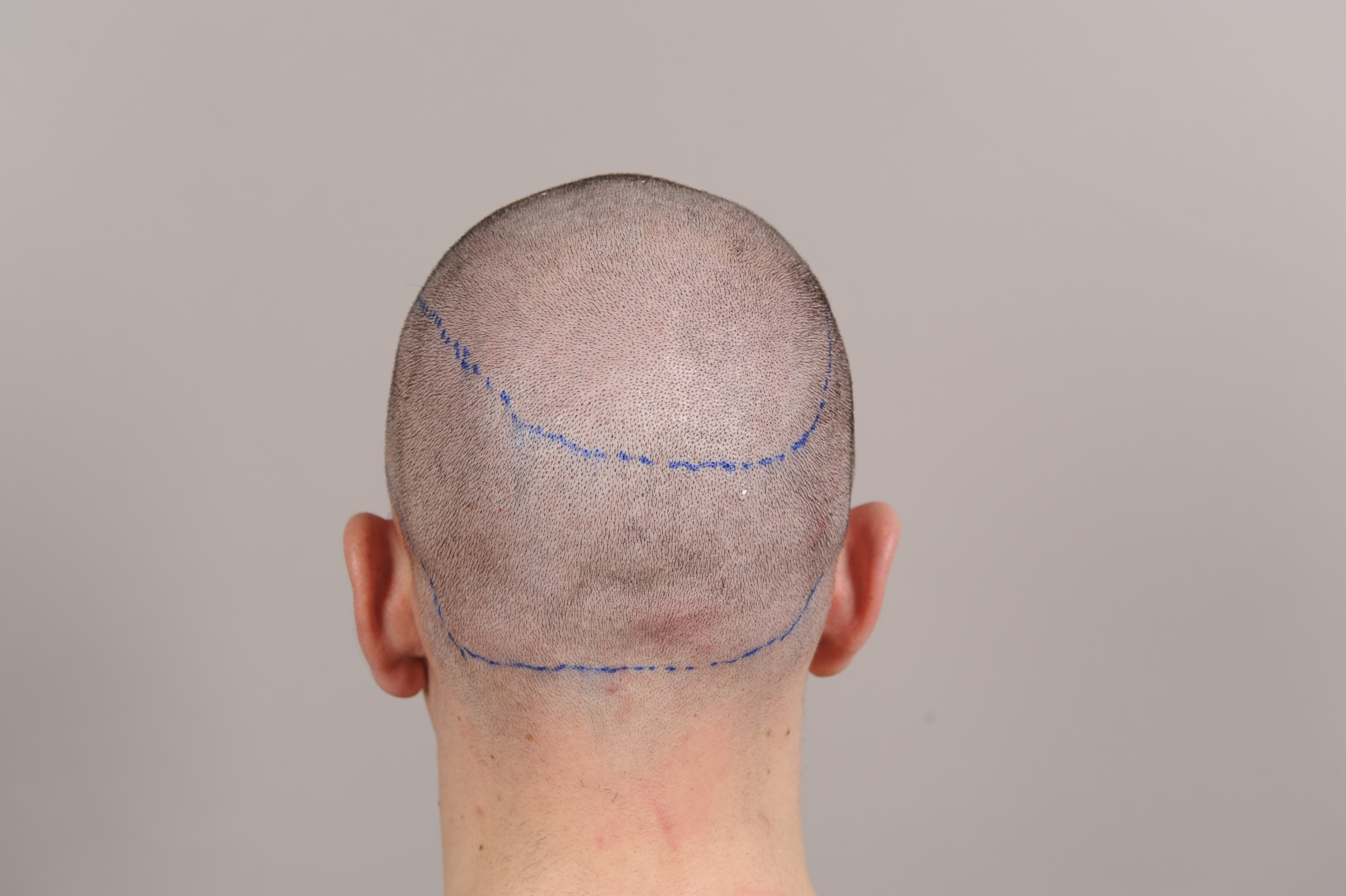 index.php/fa/30876/0/