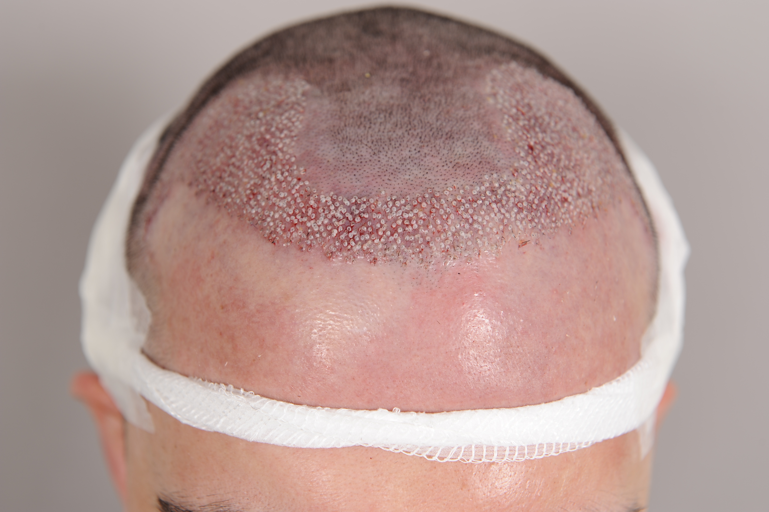 index.php/fa/30877/0/