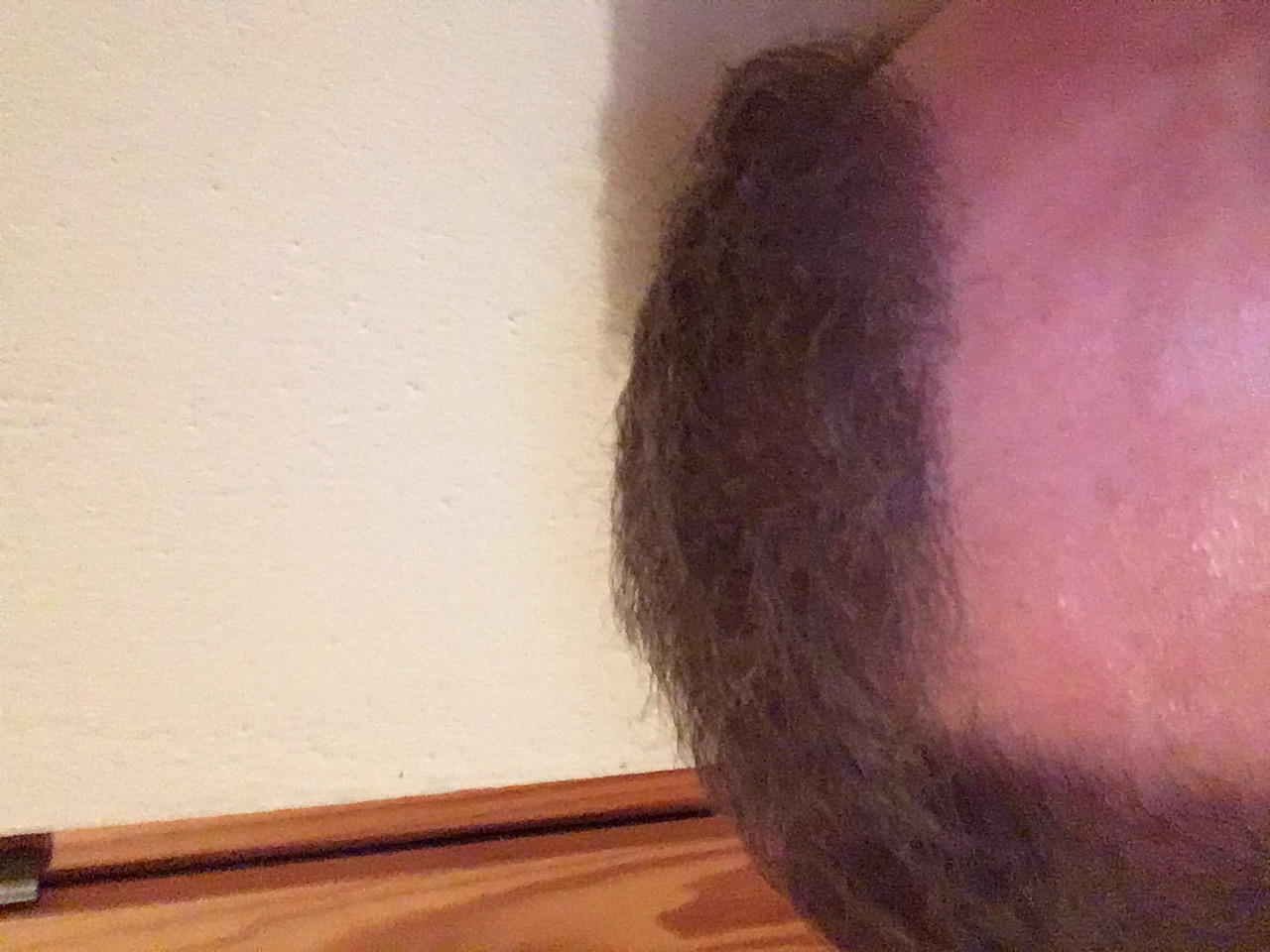 index.php/fa/31028/0/