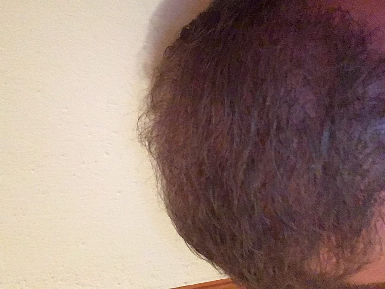 index.php/fa/31030/0/