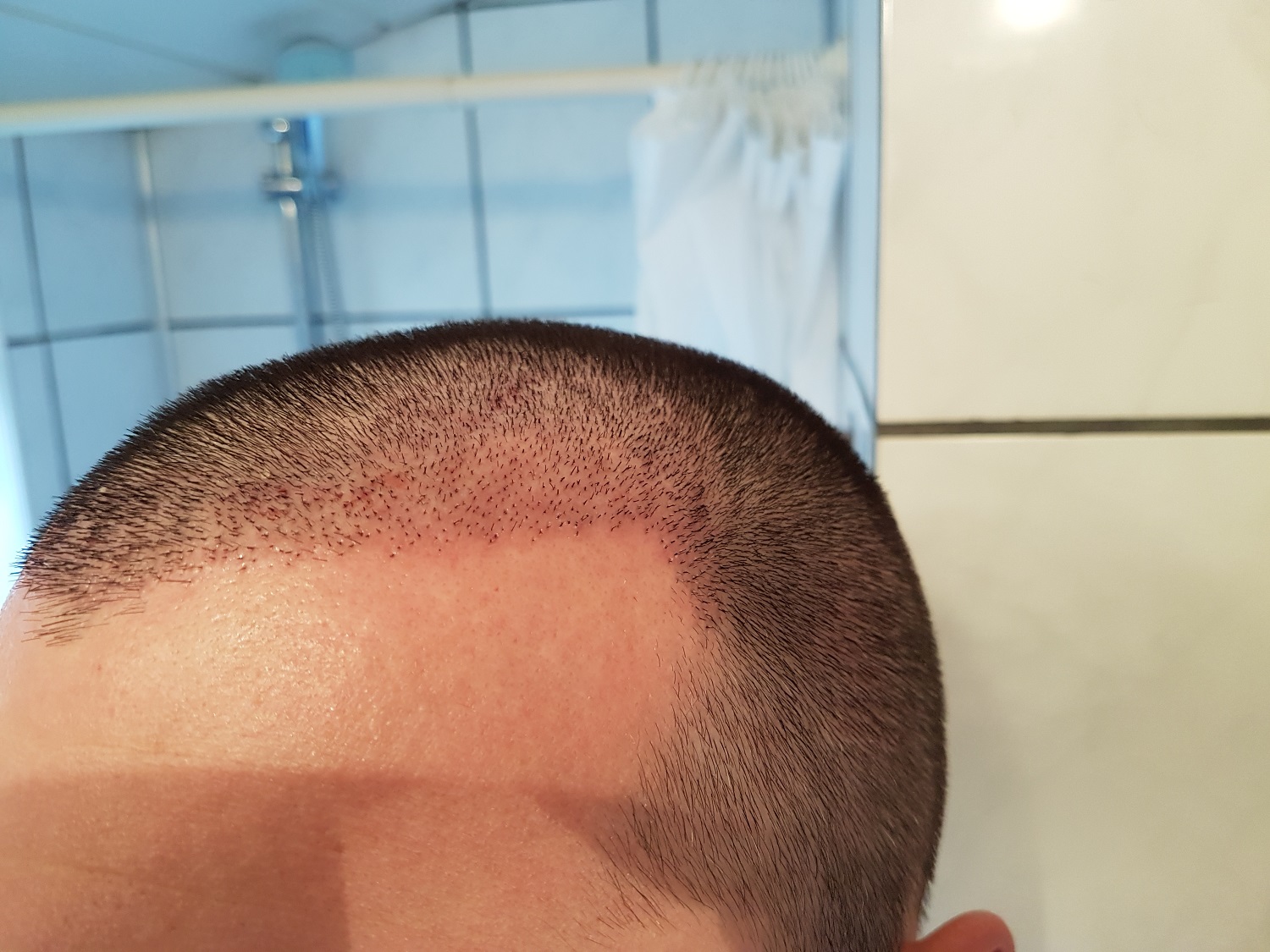 index.php/fa/31036/0/