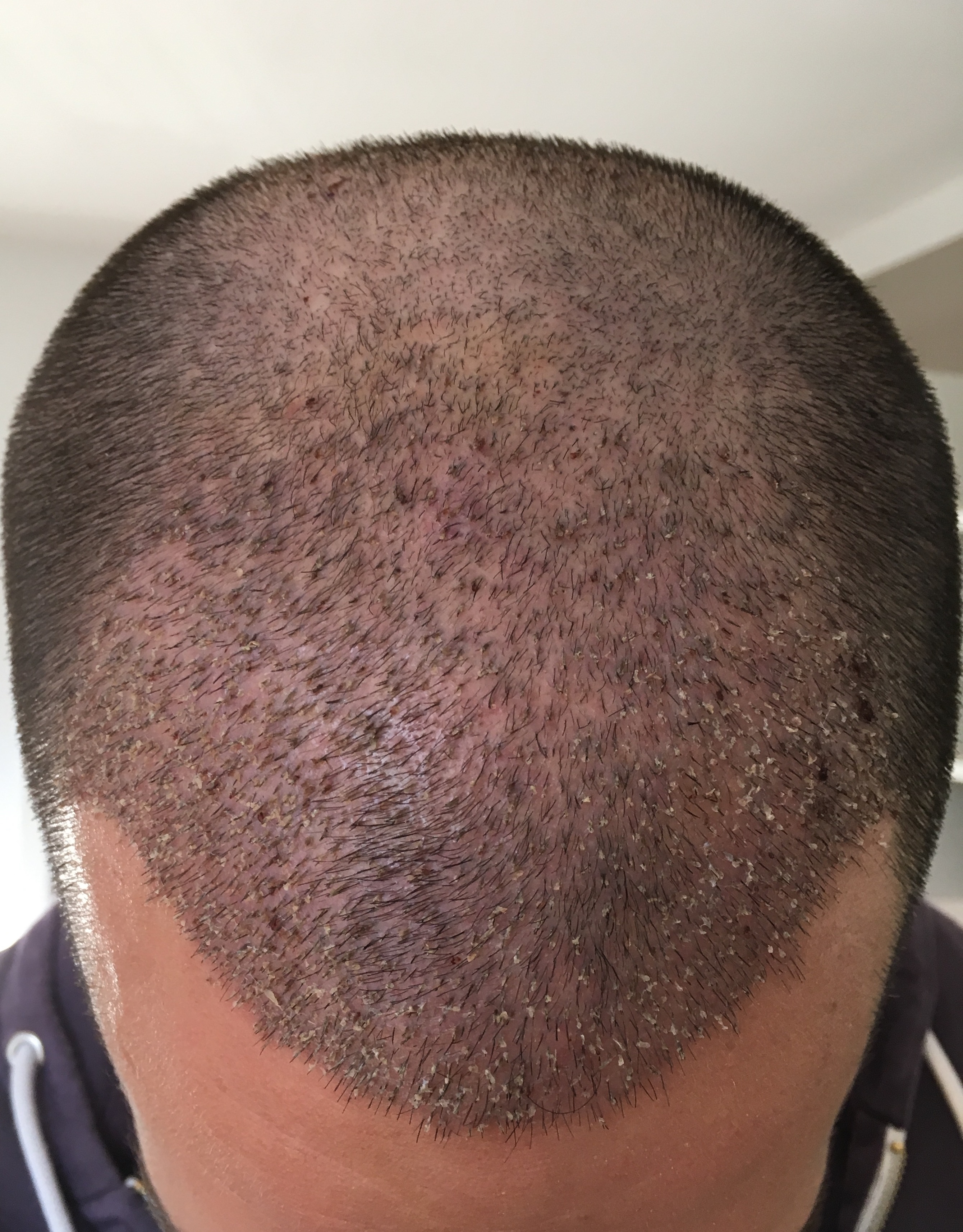 index.php/fa/31061/0/