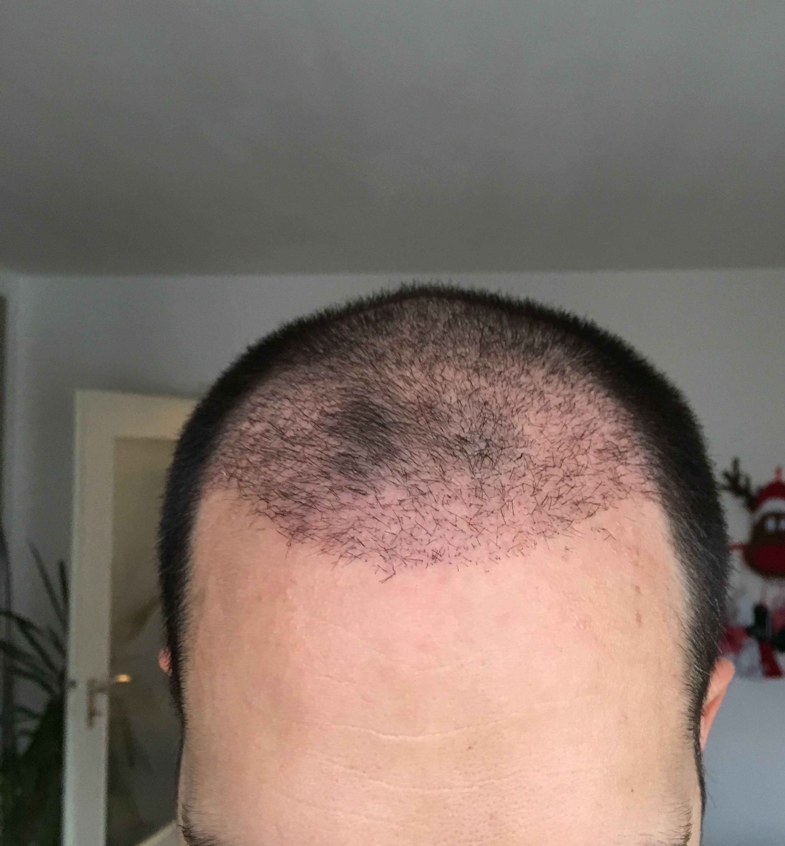 index.php/fa/31272/0/