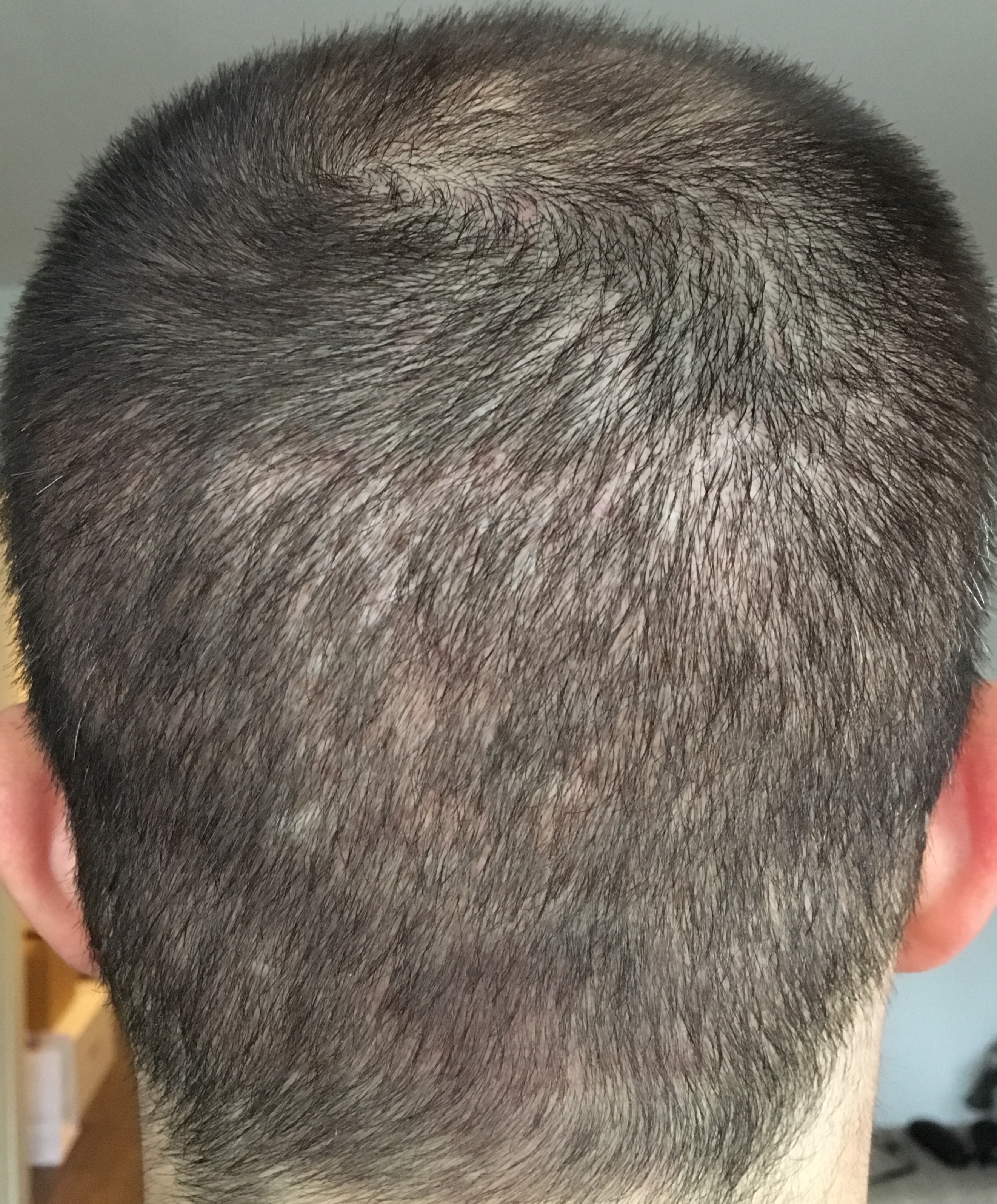 index.php/fa/31274/0/