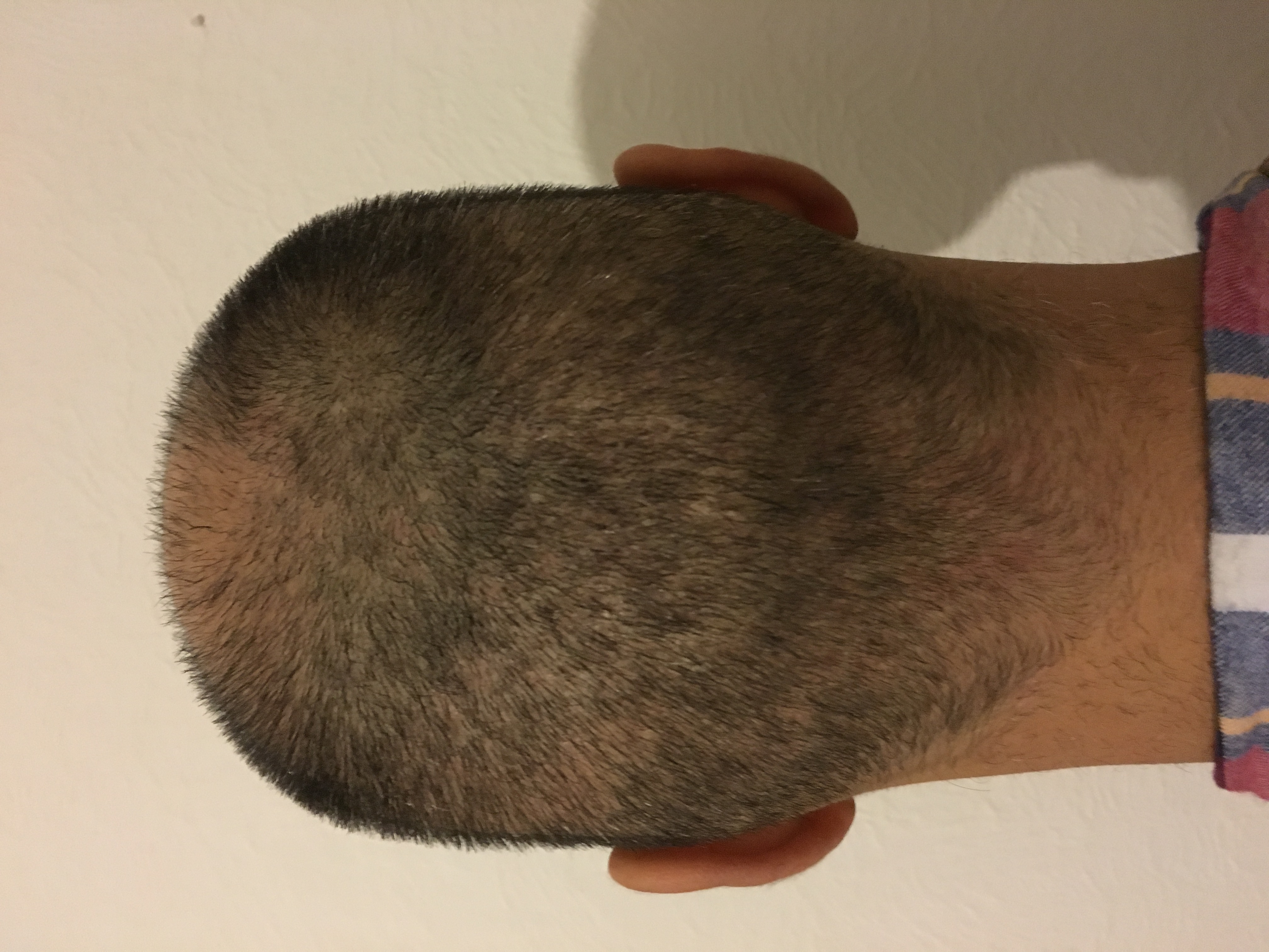 index.php/fa/31339/0/