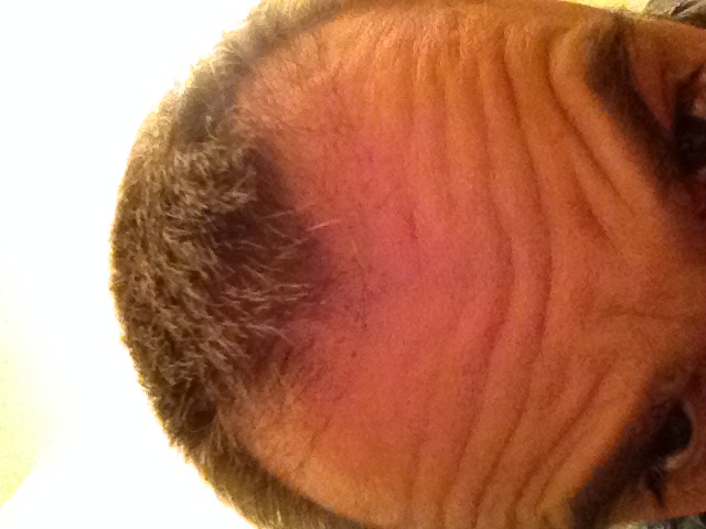 index.php/fa/31370/0/