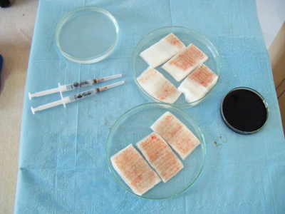 index.php/fa/3159/0/