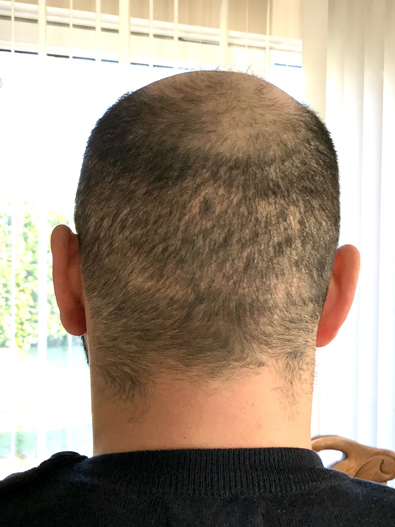 index.php/fa/31681/0/