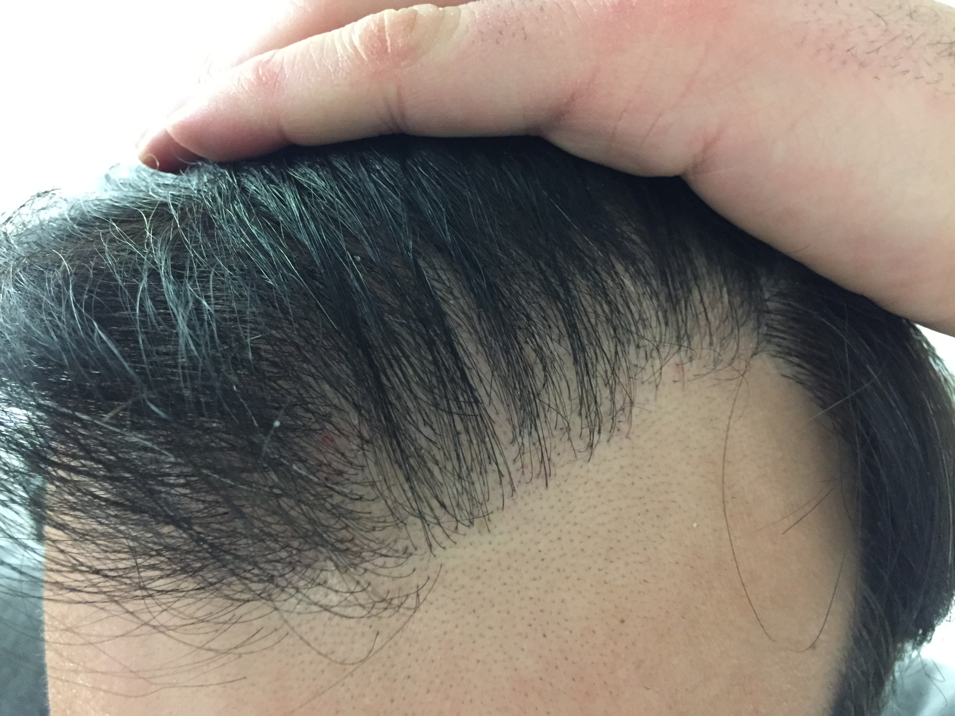 index.php/fa/31802/0/