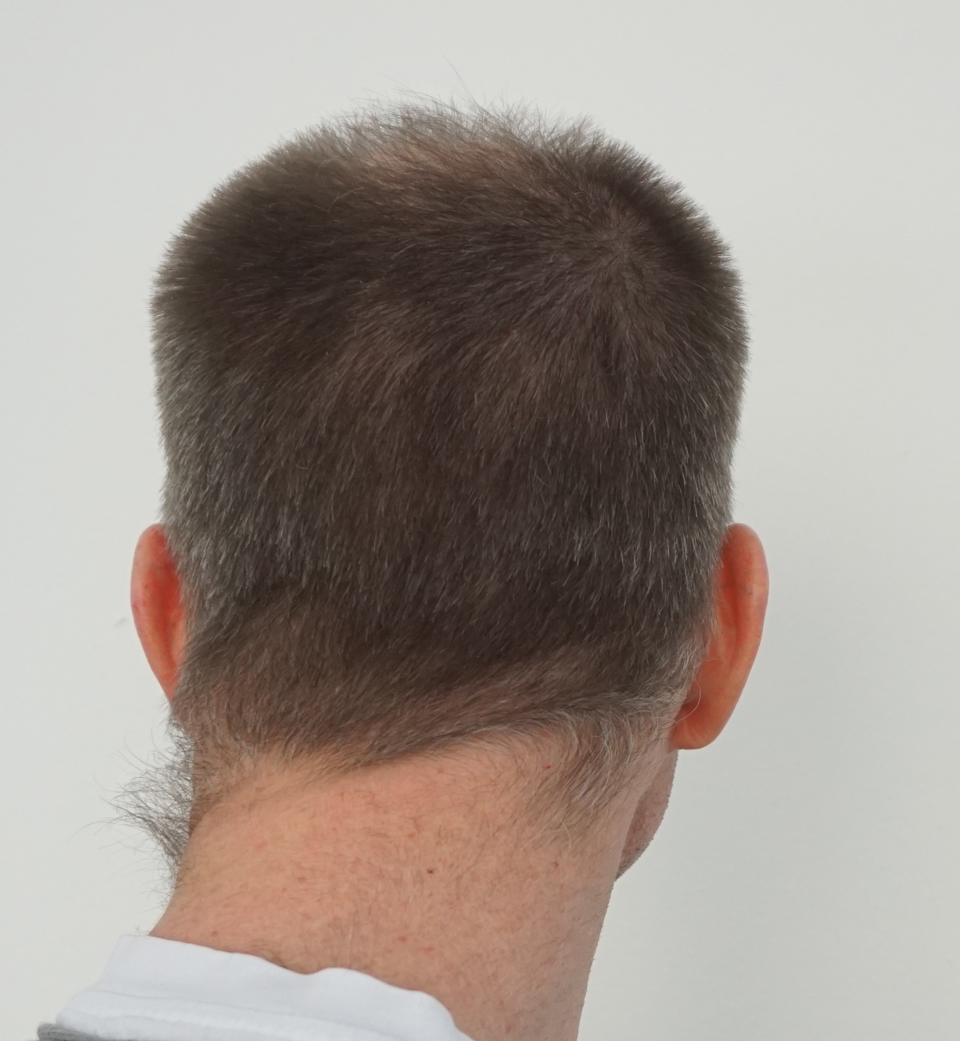 index.php/fa/31857/0/