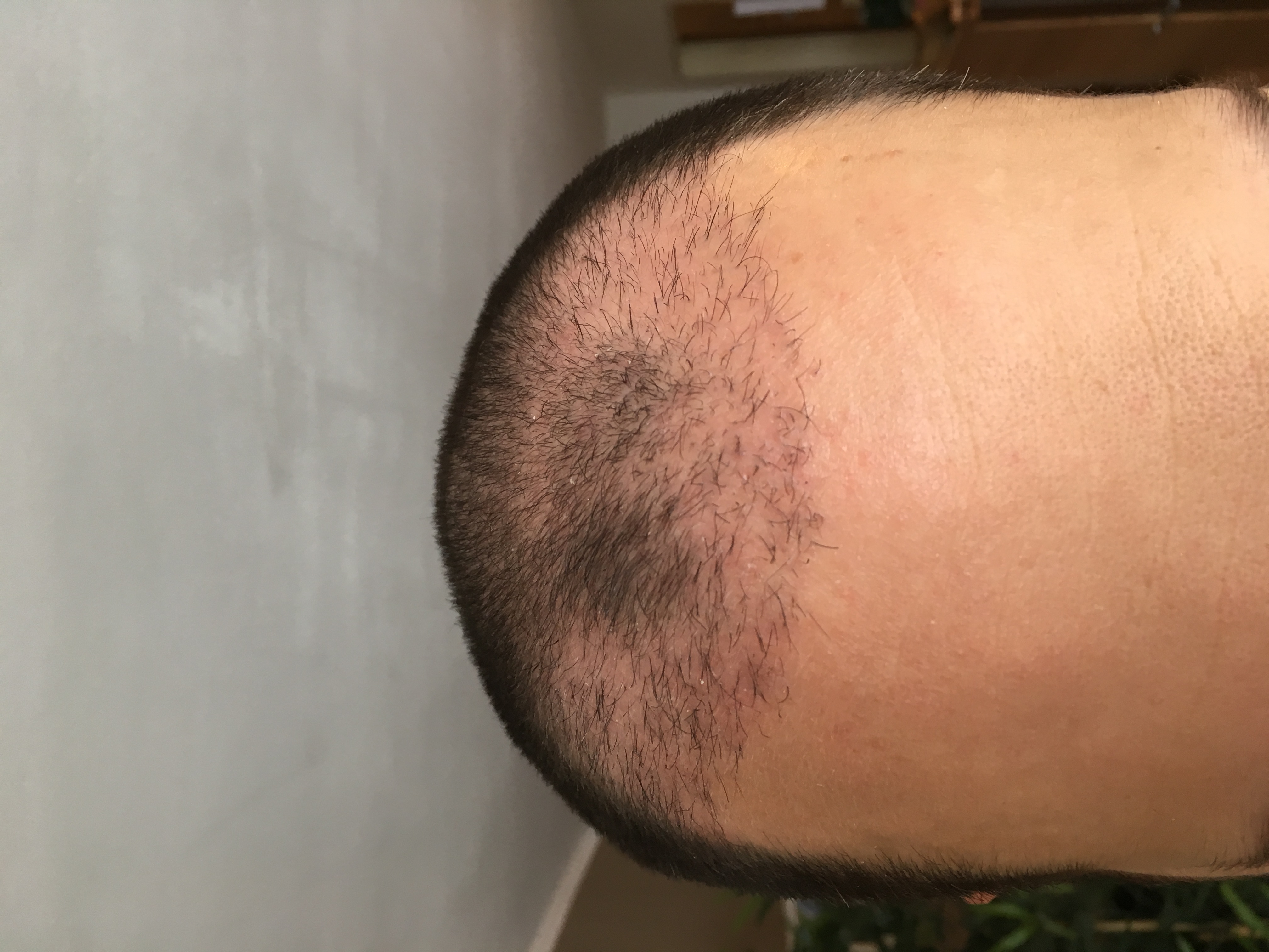 index.php/fa/31949/0/