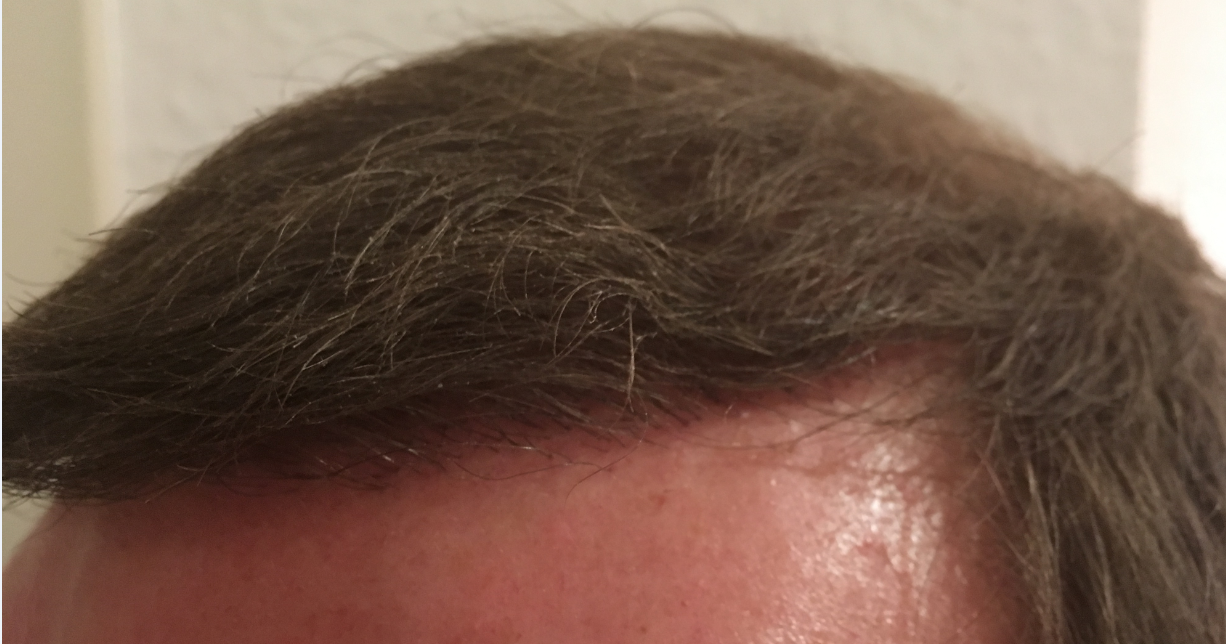 index.php/fa/31970/0/