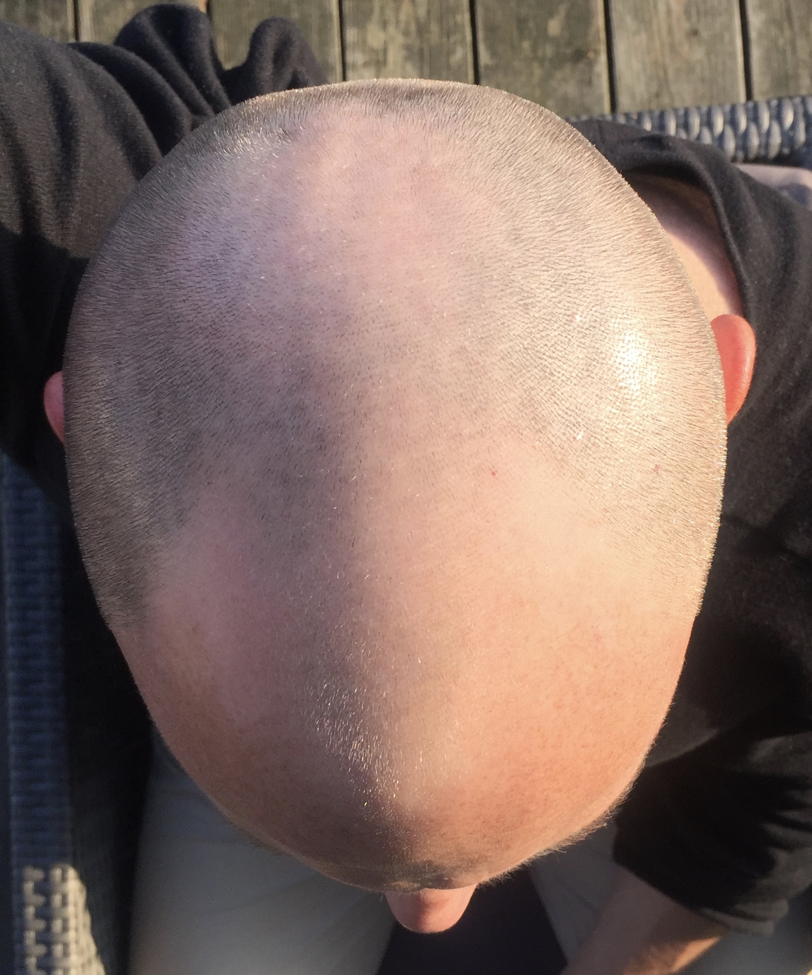 index.php/fa/32316/0/