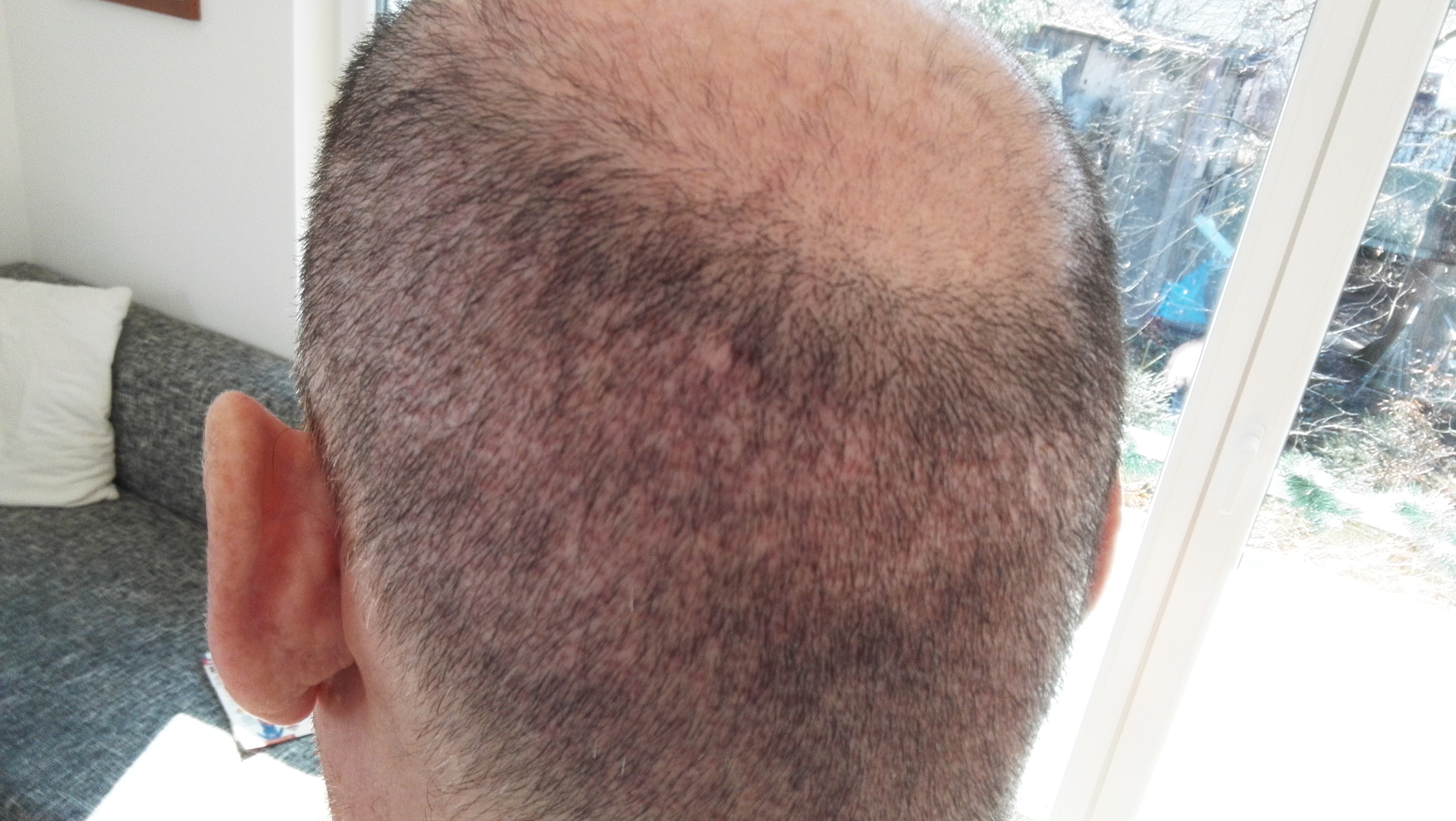 index.php/fa/32395/0/