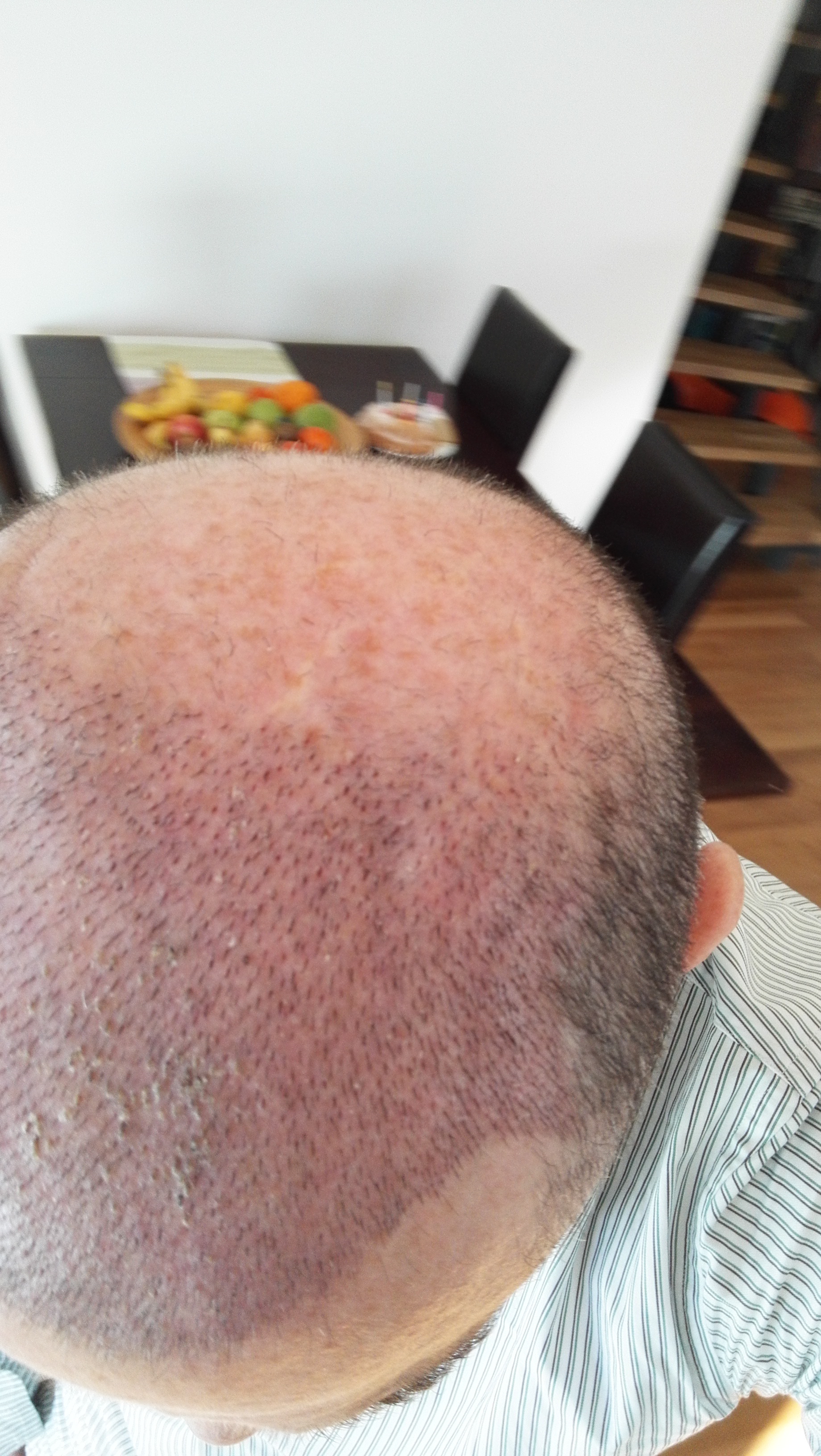 index.php/fa/32396/0/