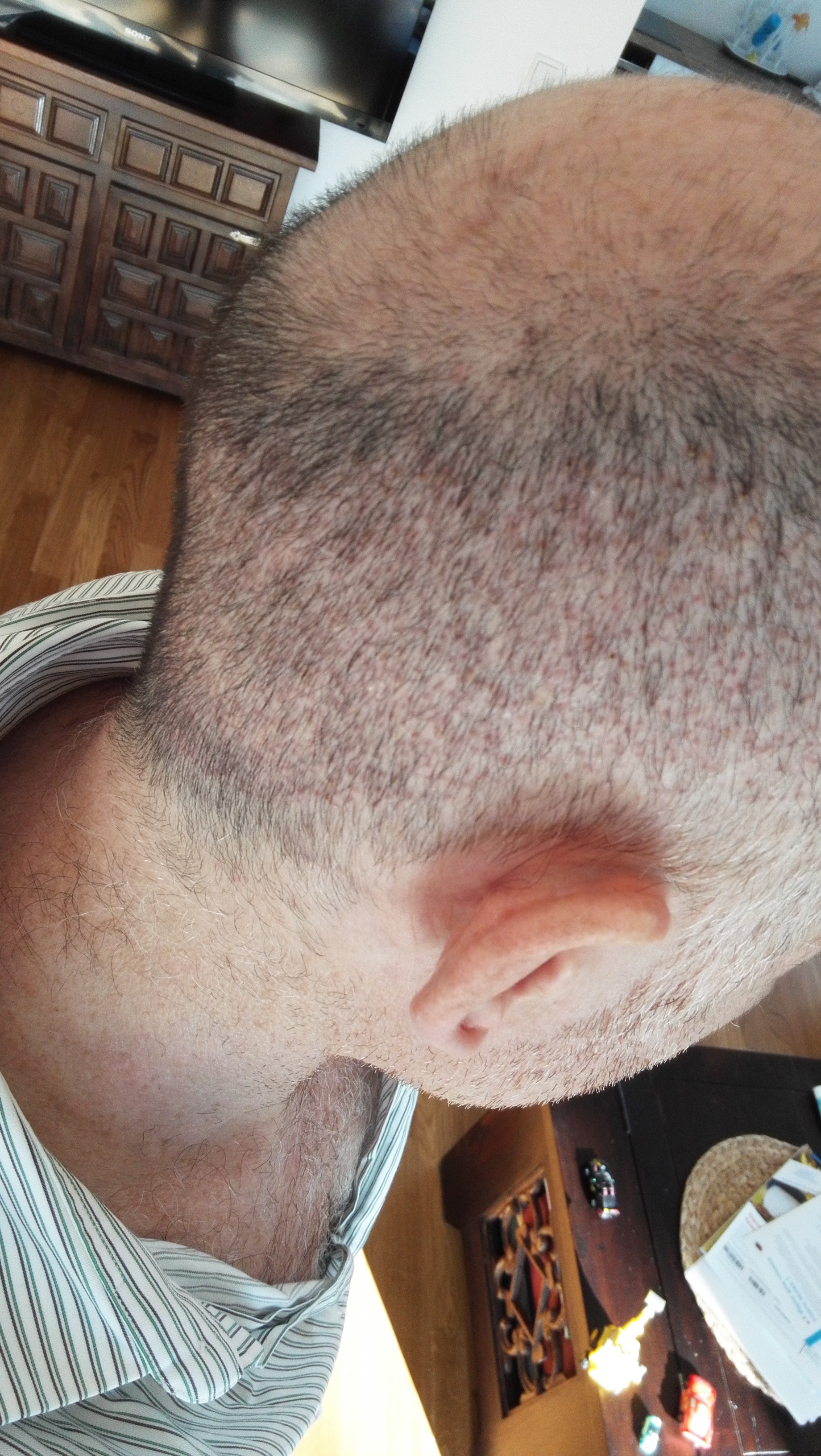 index.php/fa/32397/0/