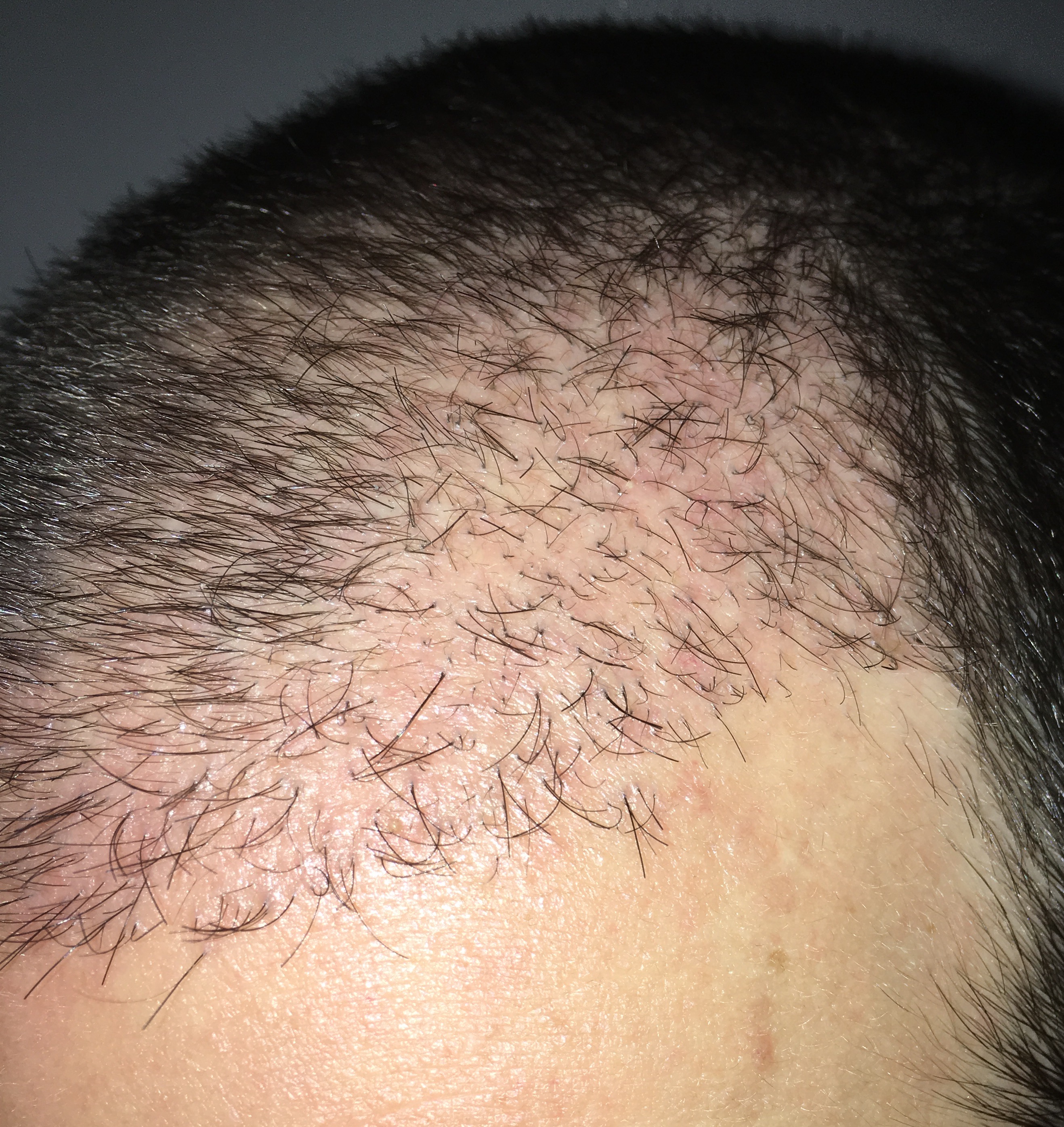 index.php/fa/32402/0/