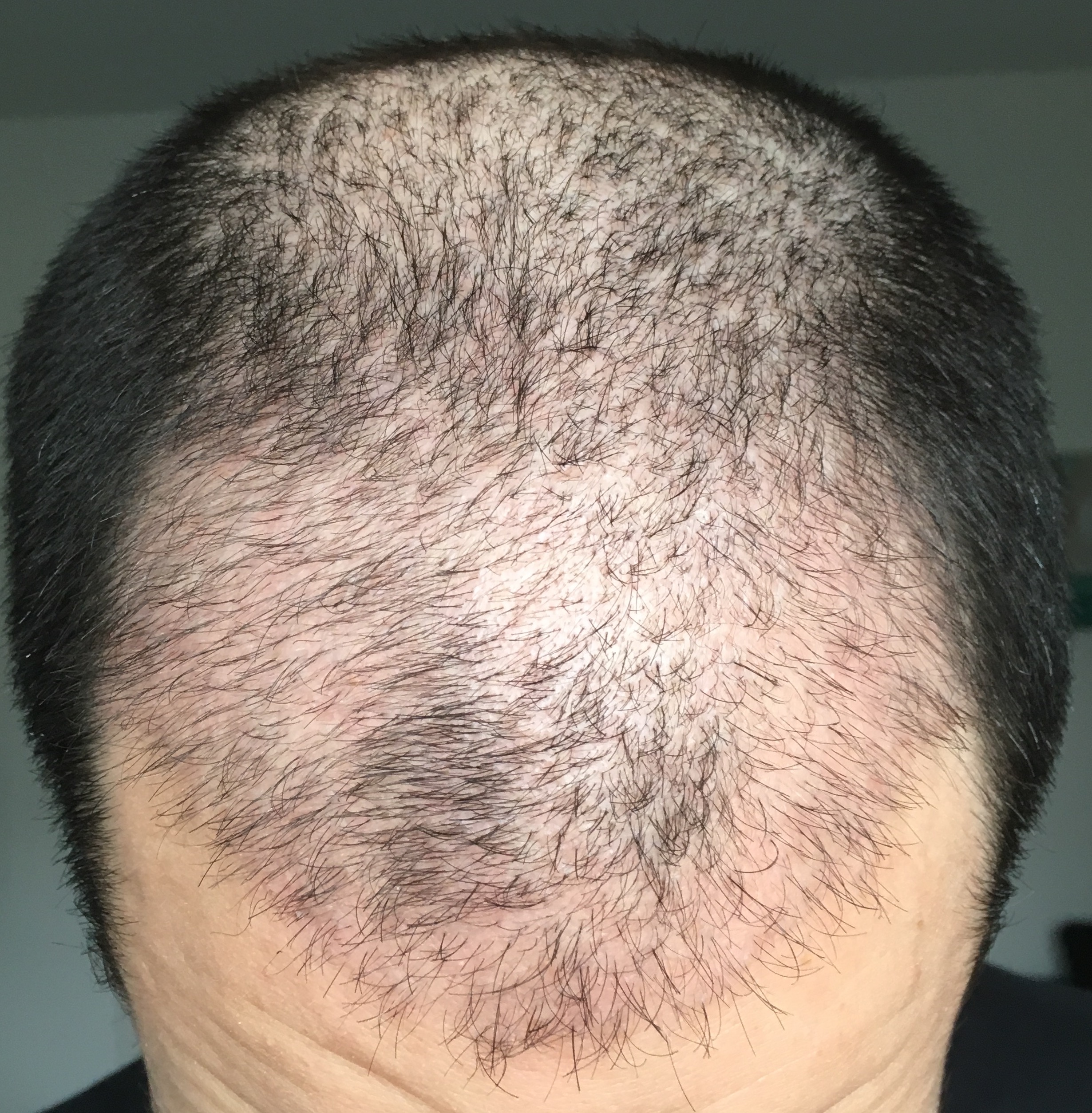 index.php/fa/32411/0/