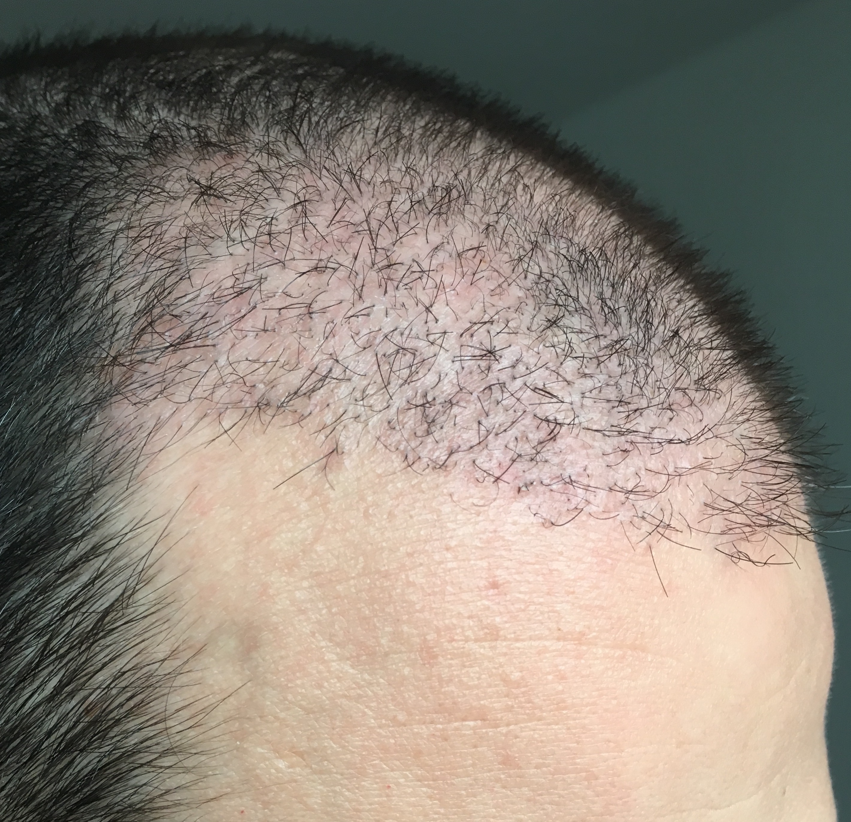 index.php/fa/32412/0/