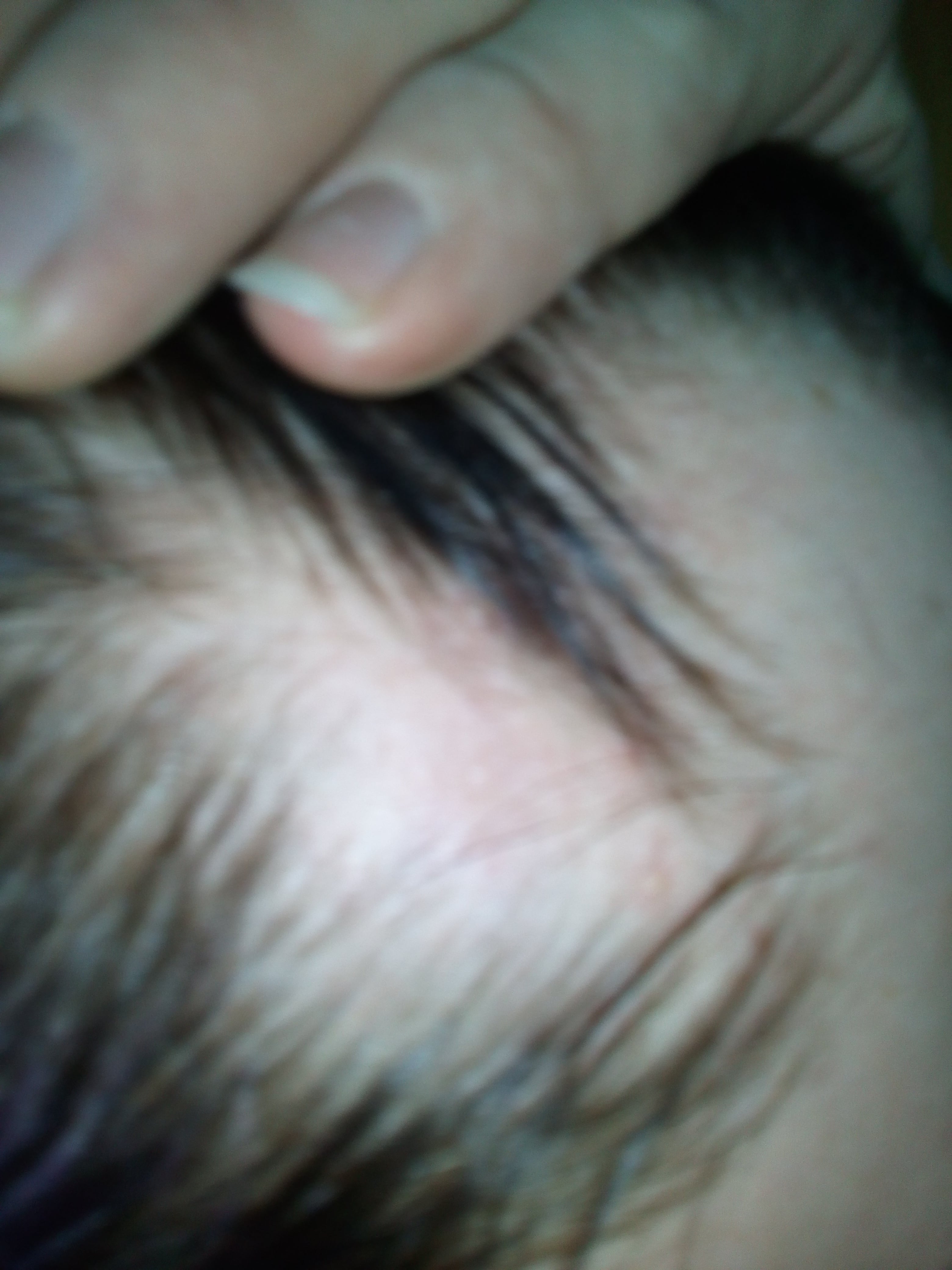 index.php/fa/32831/0/