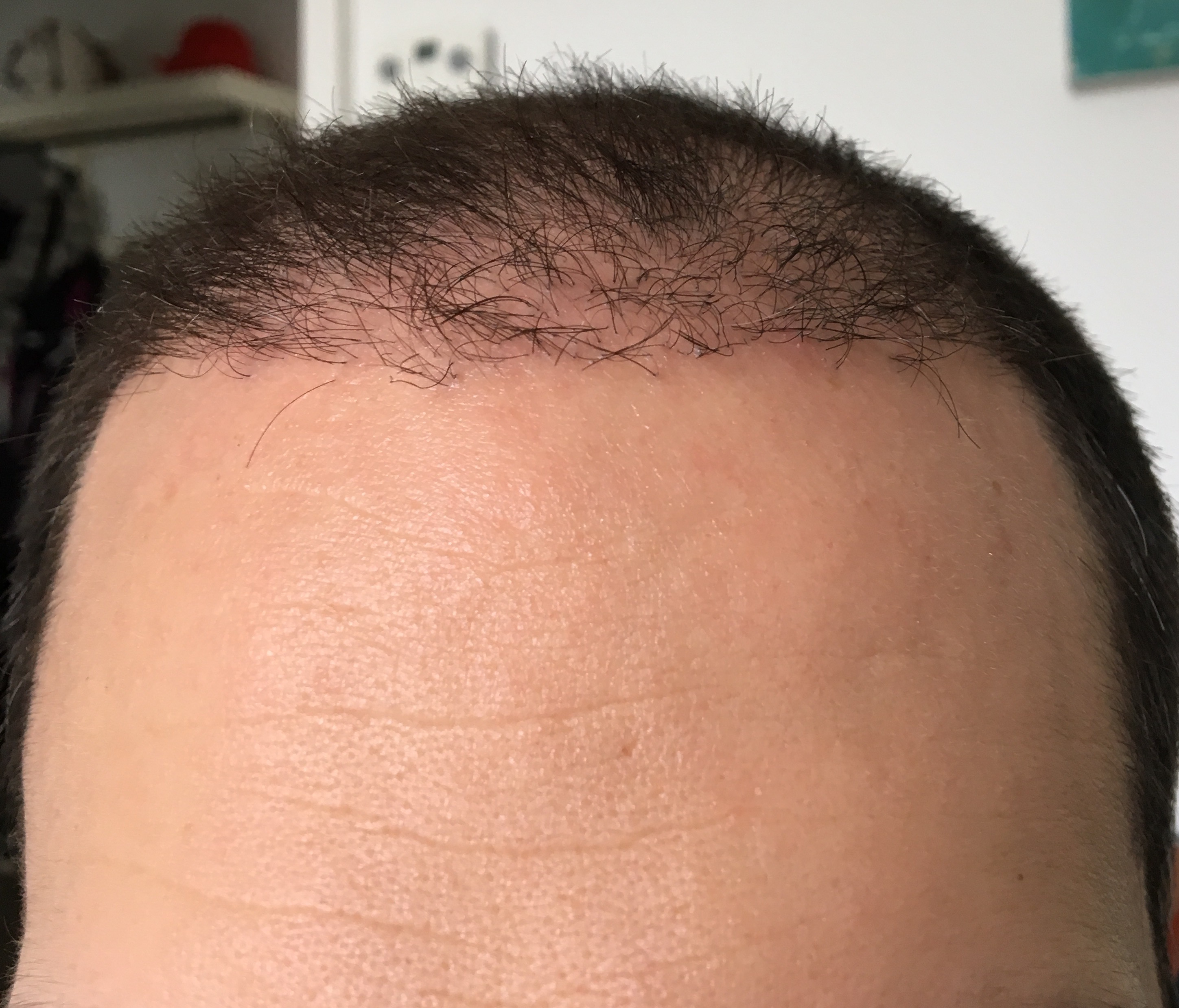 index.php/fa/32834/0/