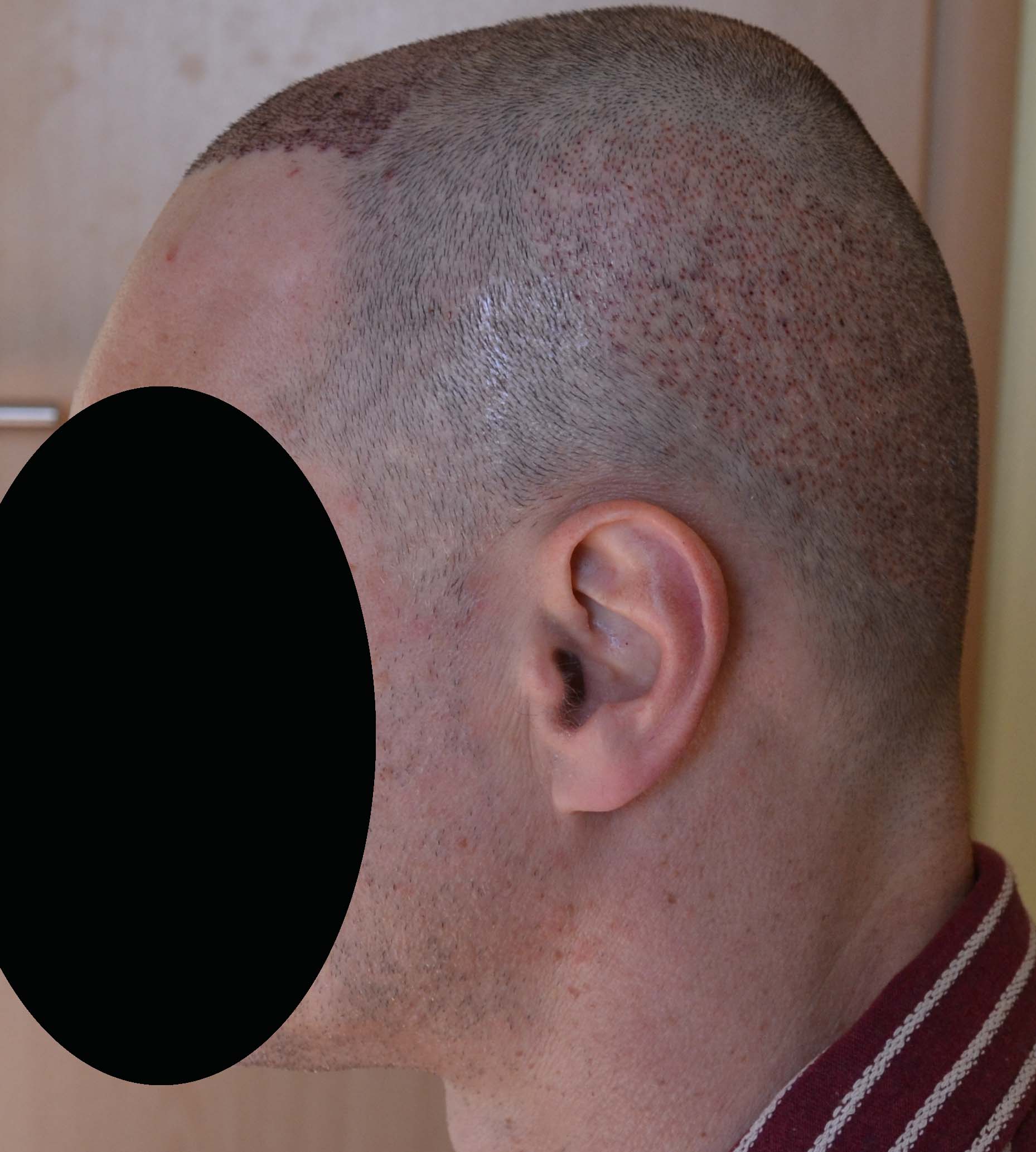 index.php/fa/32959/0/