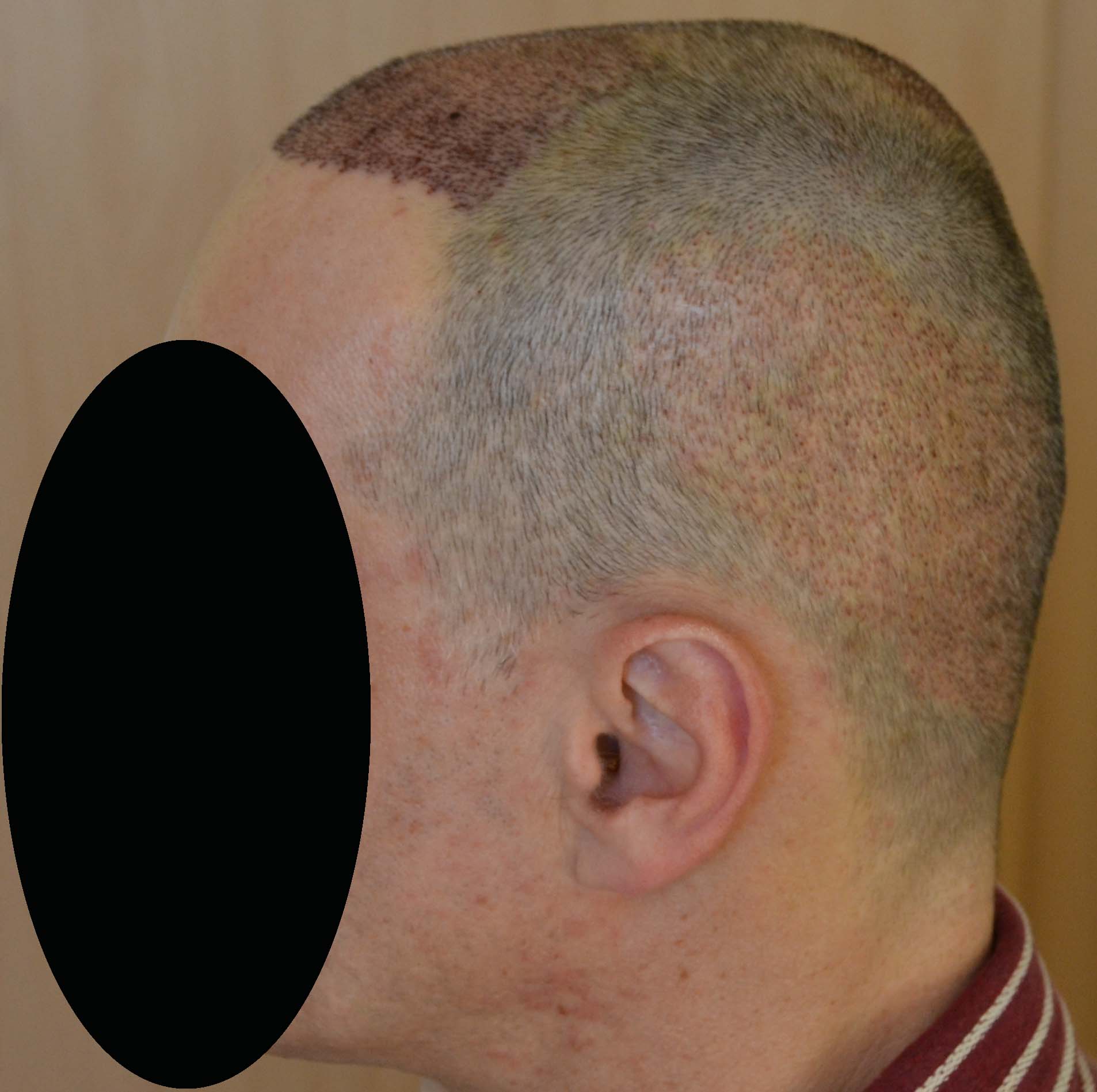 index.php/fa/32981/0/