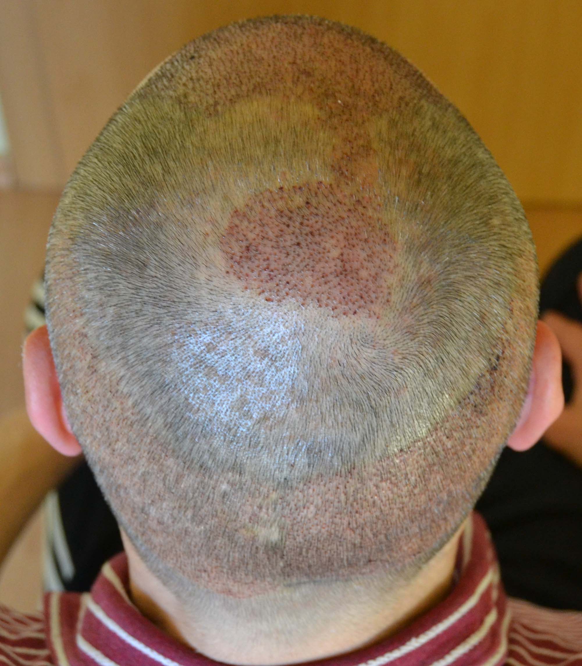 index.php/fa/32982/0/