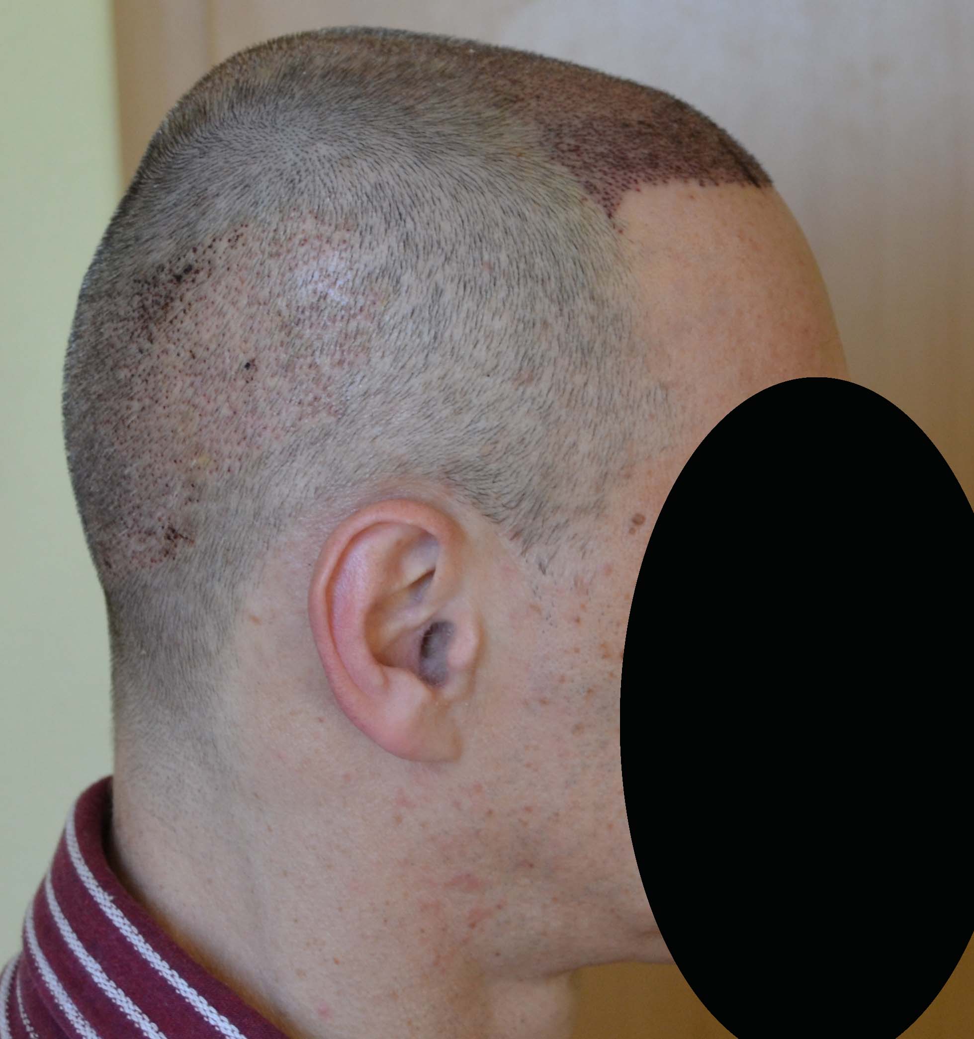 index.php/fa/32983/0/