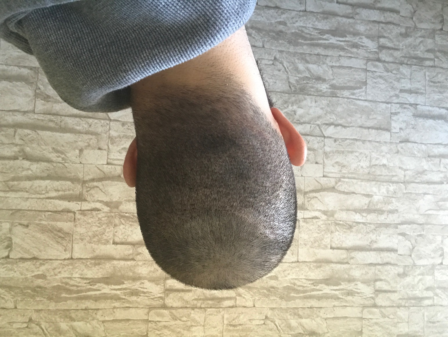 index.php/fa/33026/0/