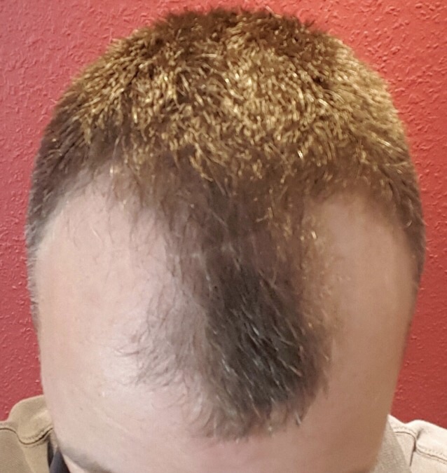 index.php/fa/33113/0/