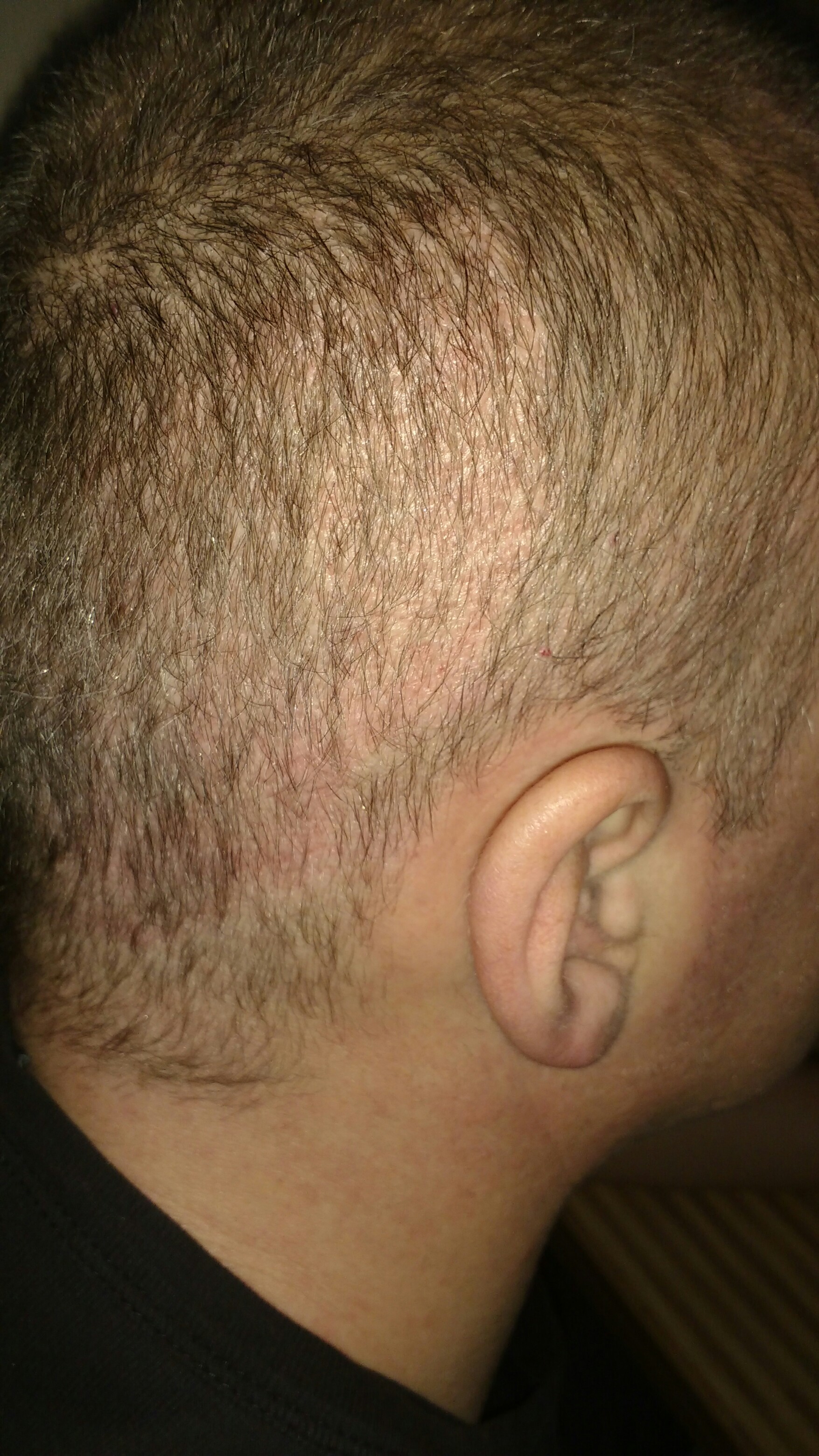 index.php/fa/33148/0/