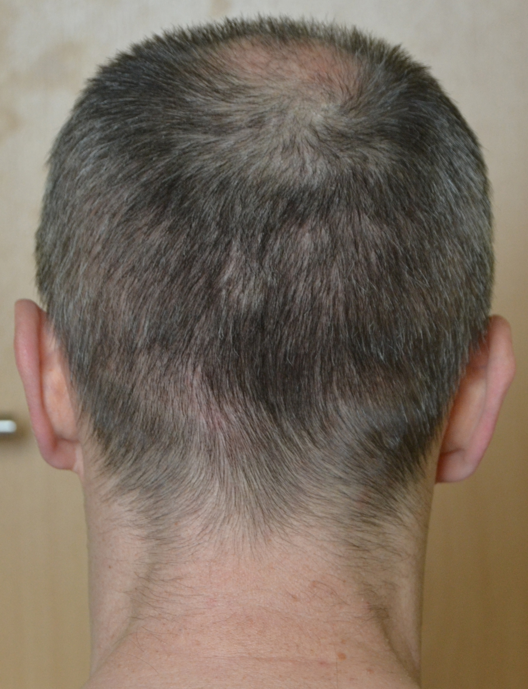 index.php/fa/33463/0/