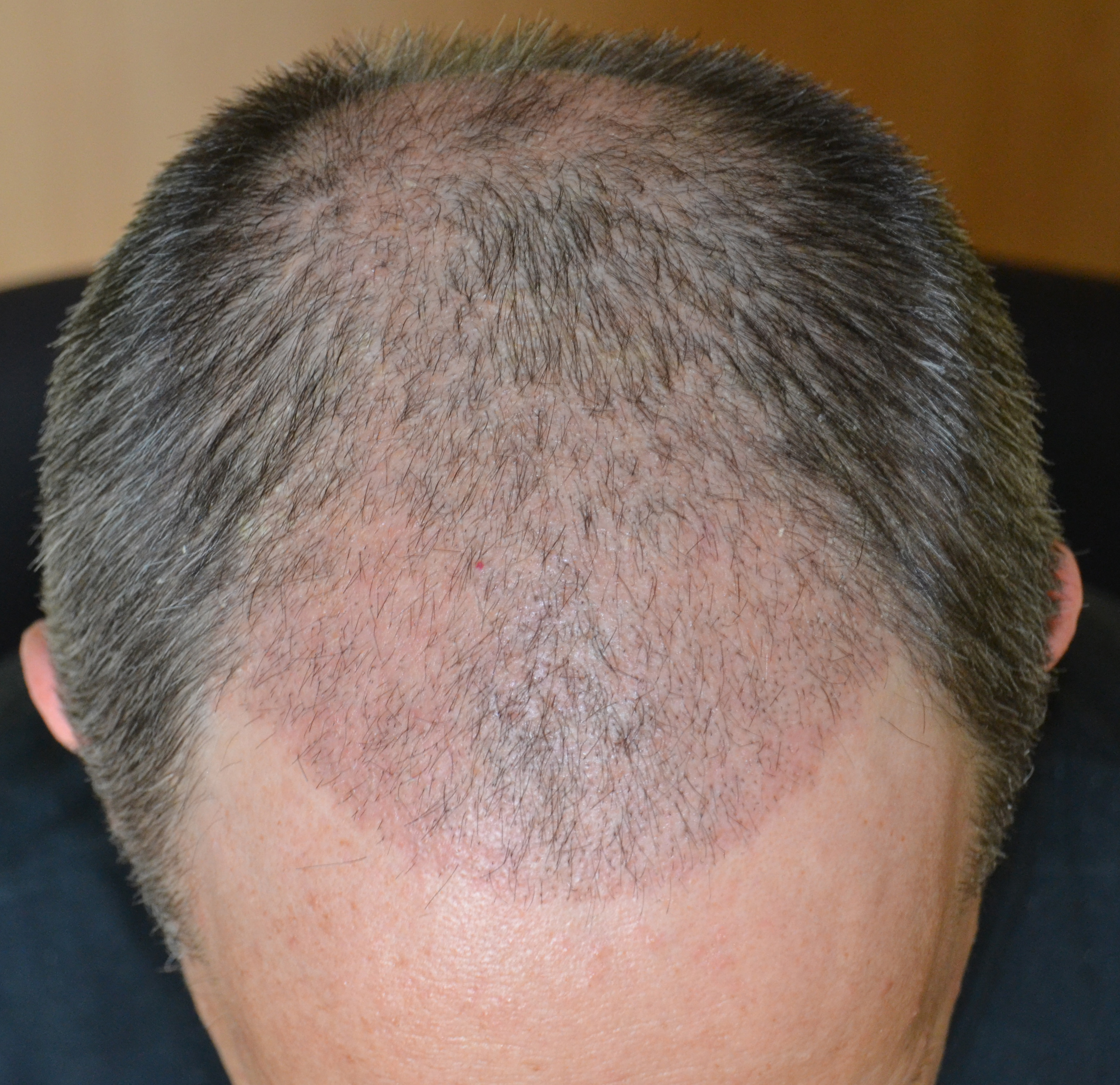 index.php/fa/33465/0/