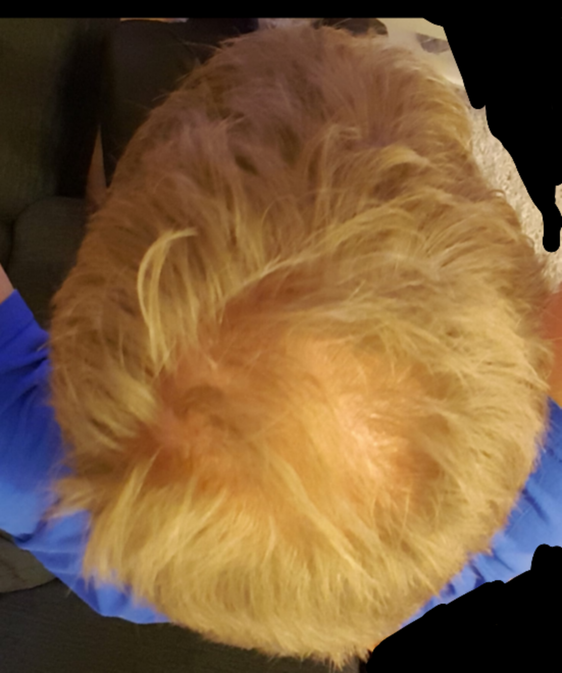 index.php/fa/33505/0/