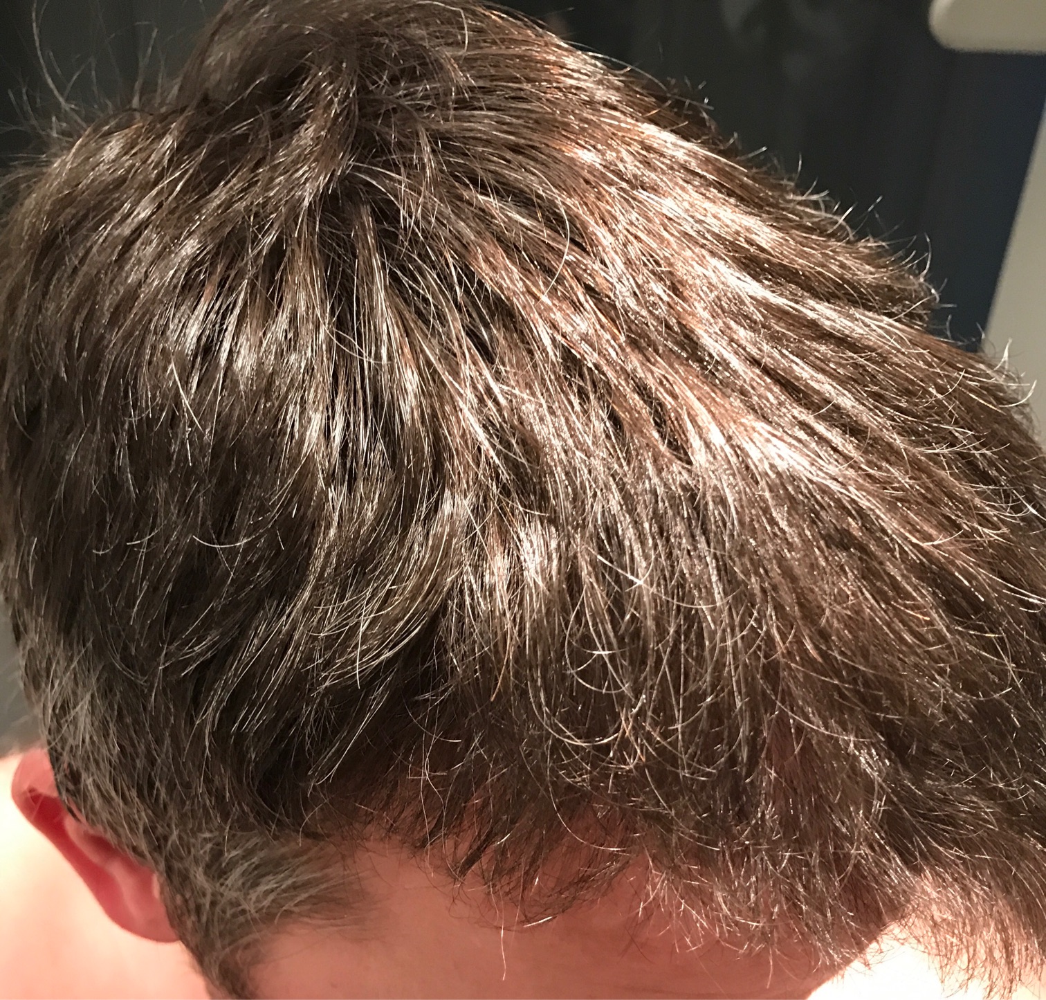 index.php/fa/33526/0/