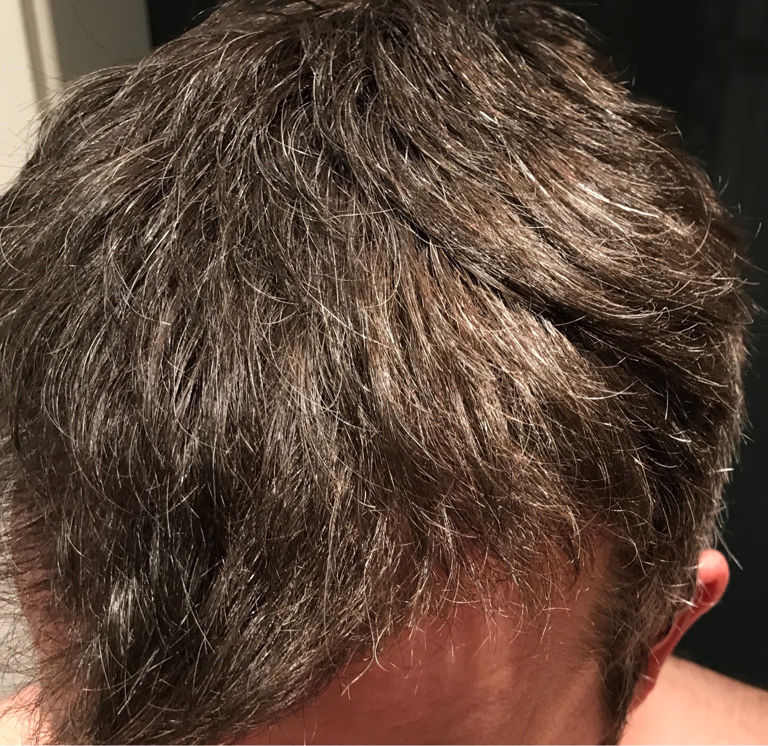 index.php/fa/33527/0/