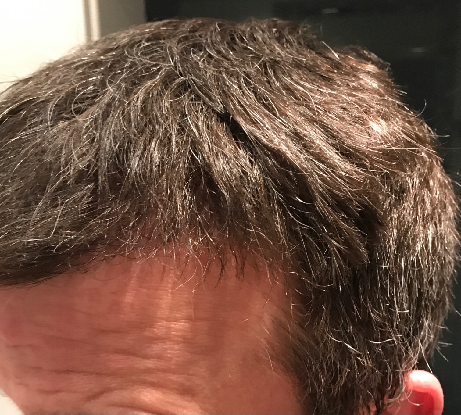 index.php/fa/33529/0/