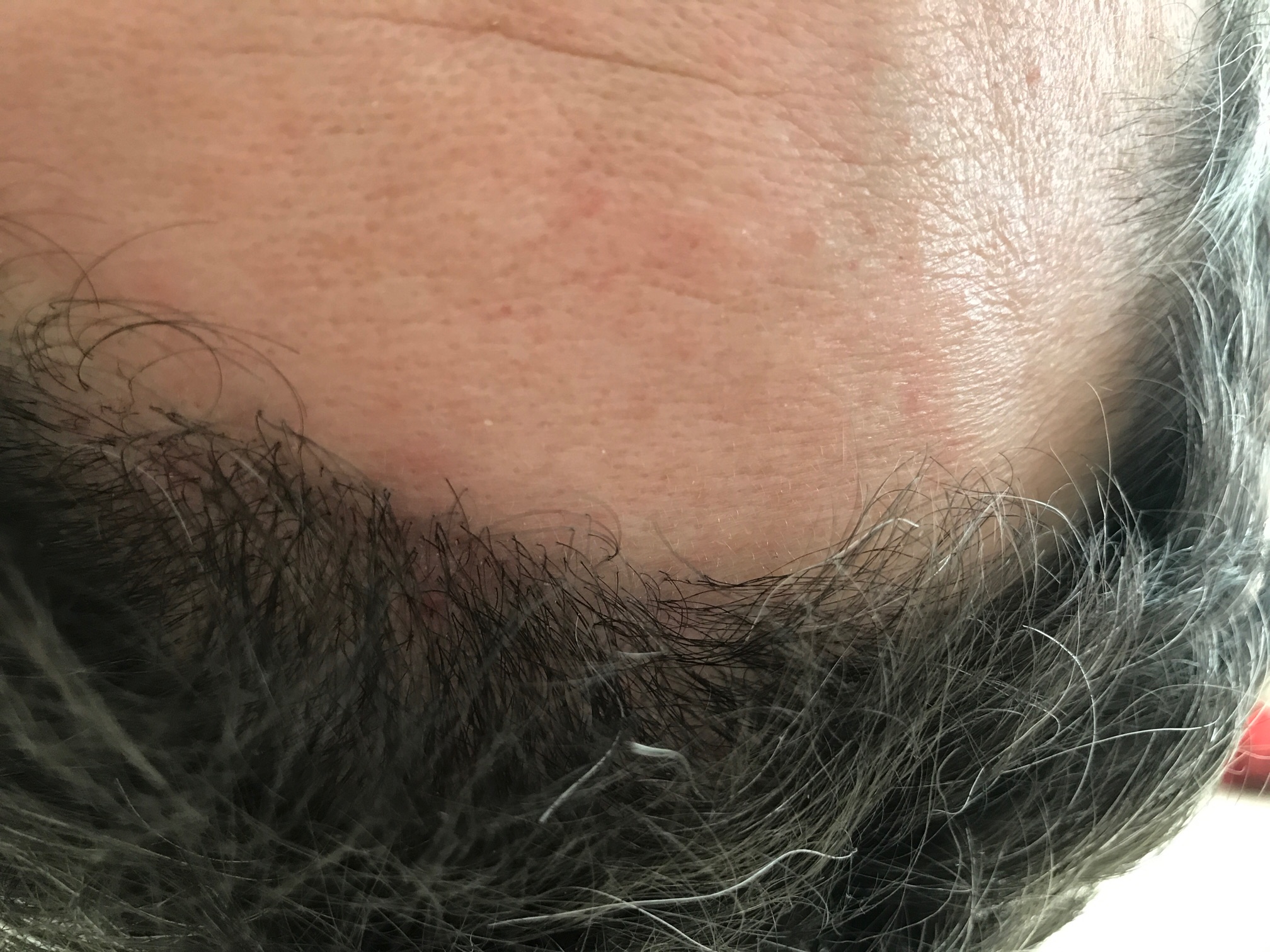 index.php/fa/33531/0/