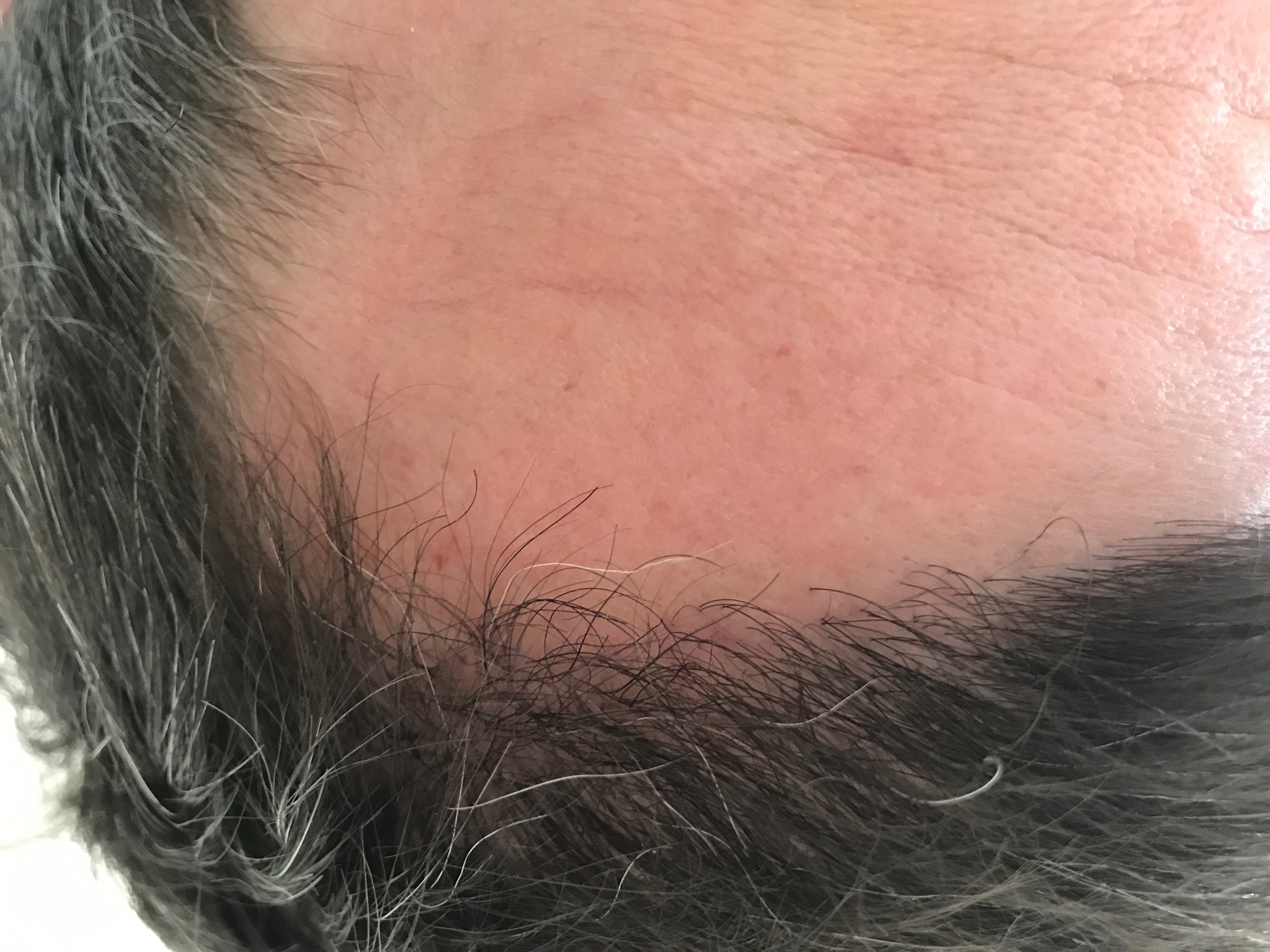 index.php/fa/33532/0/