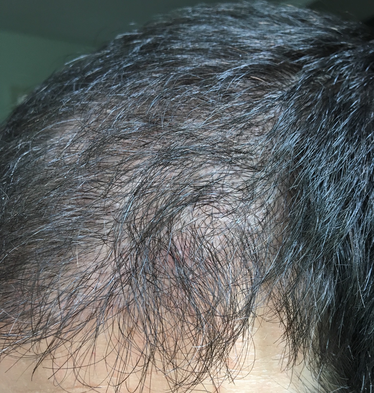 index.php/fa/33667/0/