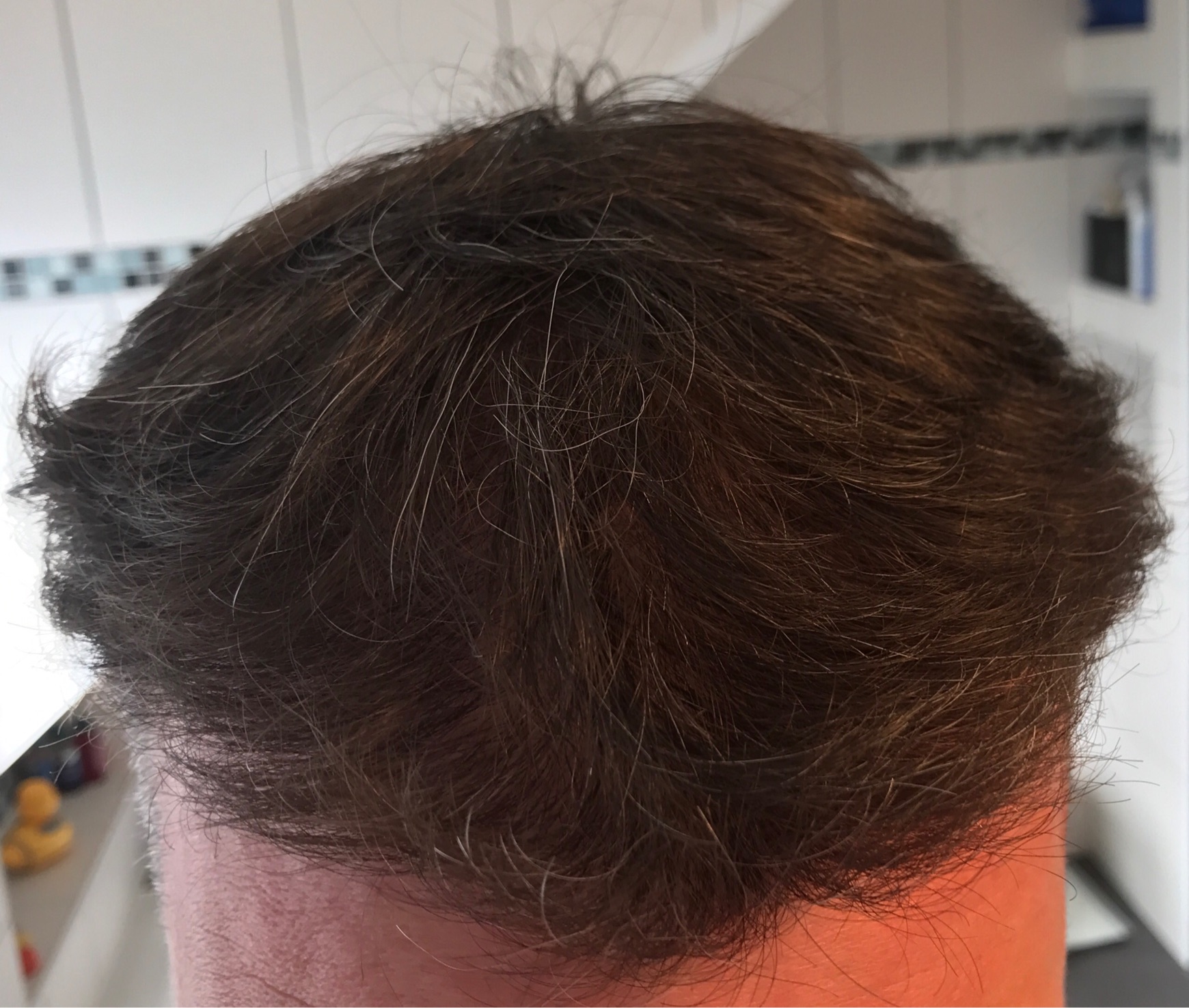 index.php/fa/33761/0/