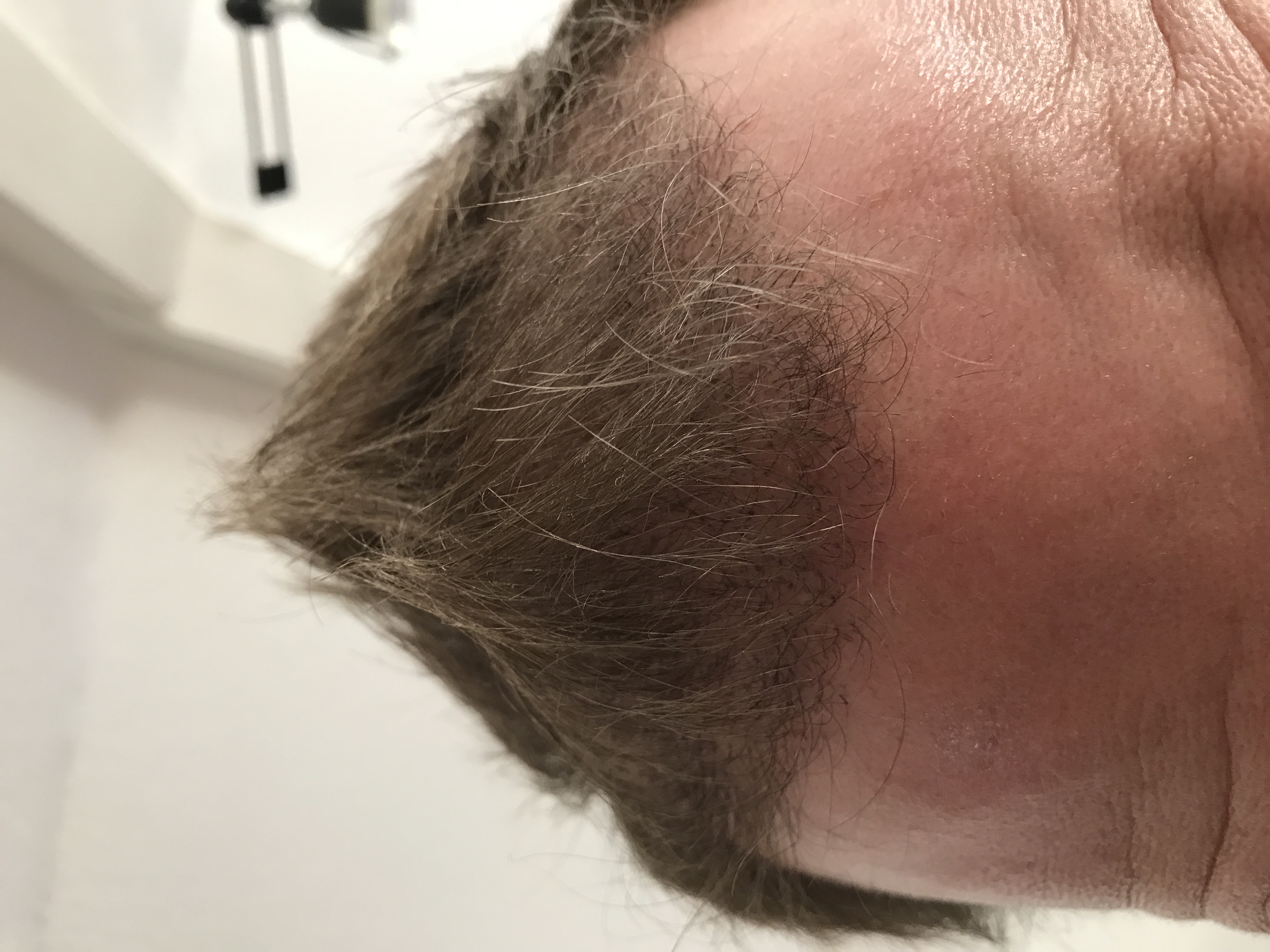 index.php/fa/33865/0/