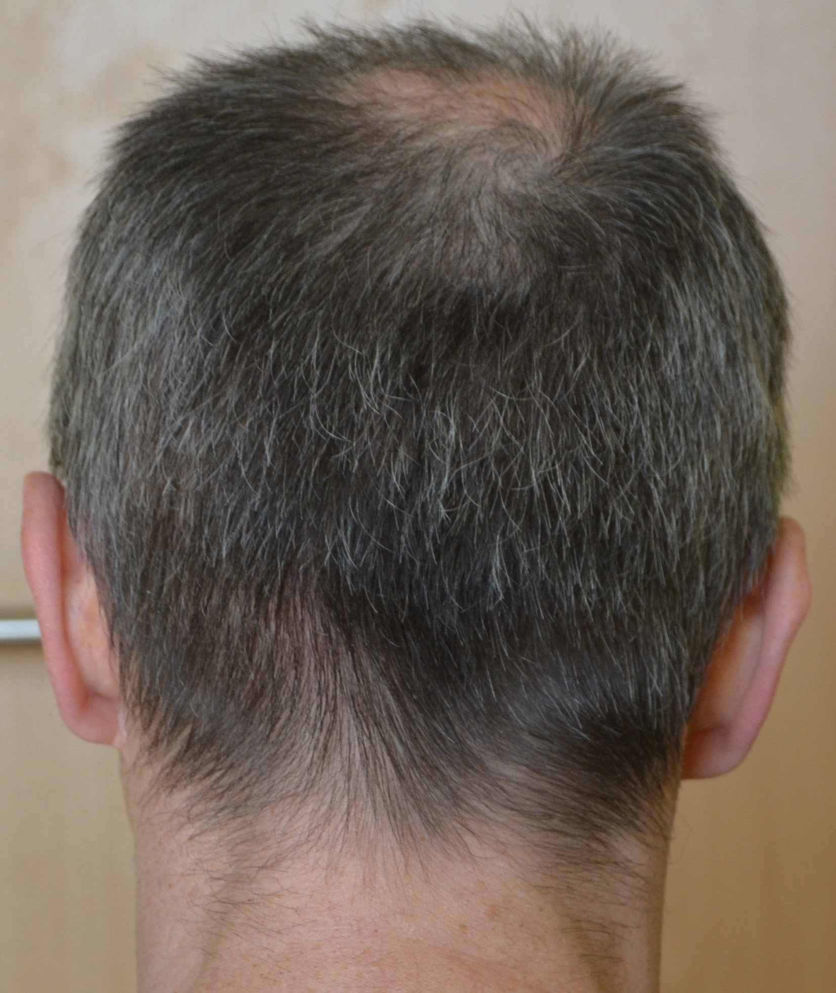 index.php/fa/33902/0/