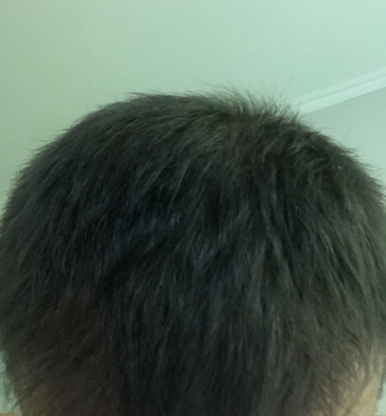 index.php/fa/33924/0/