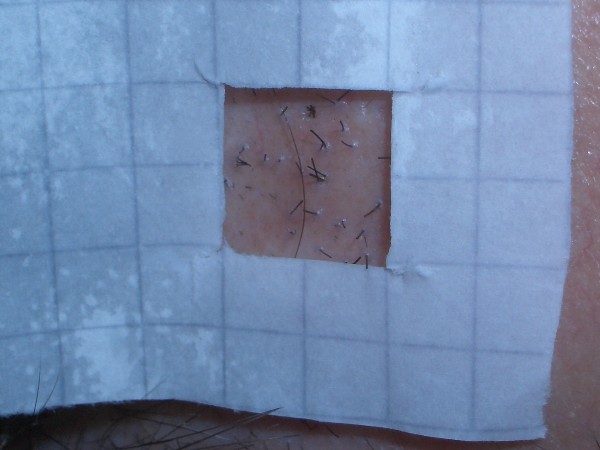 index.php/fa/3395/0/